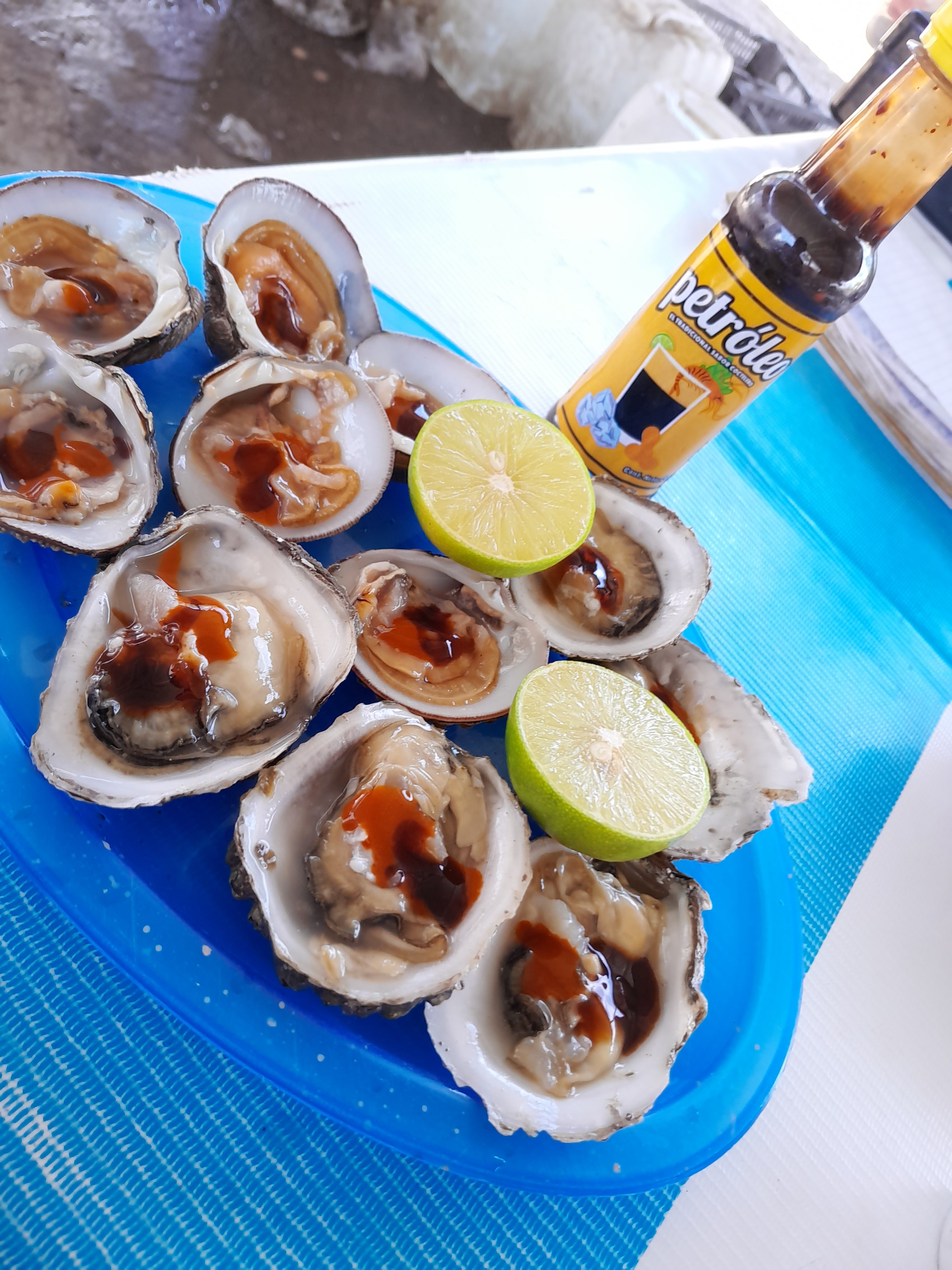 ALMEJAS EL CRUCERO DE ESPERANZA image 2