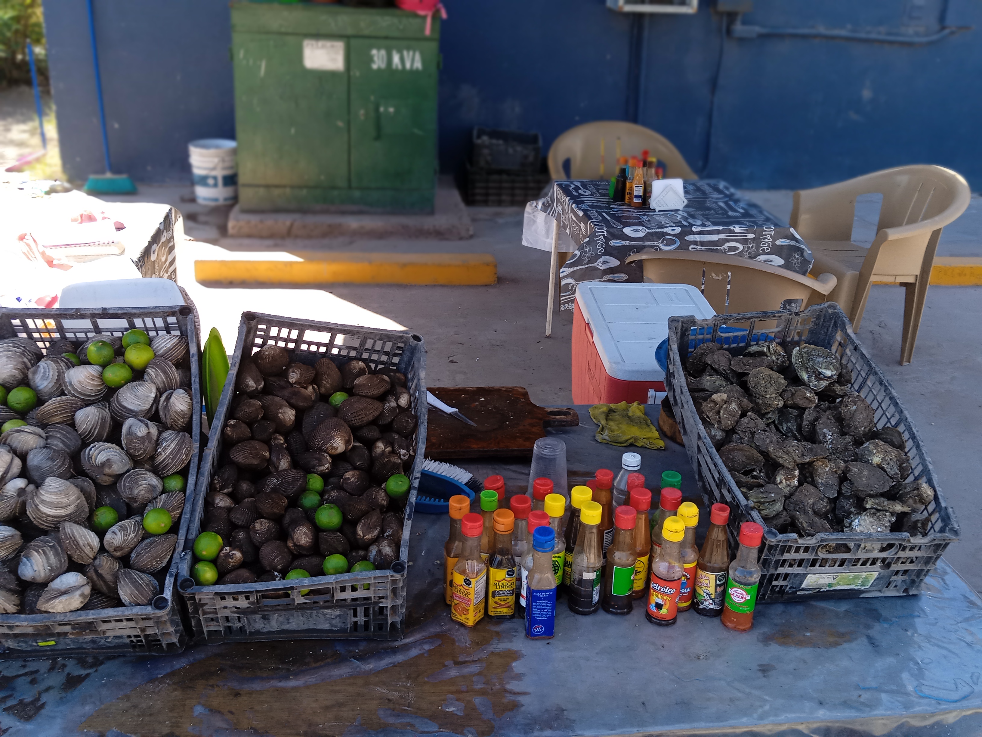 ALMEJAS EL CRUCERO DE ESPERANZA image 3