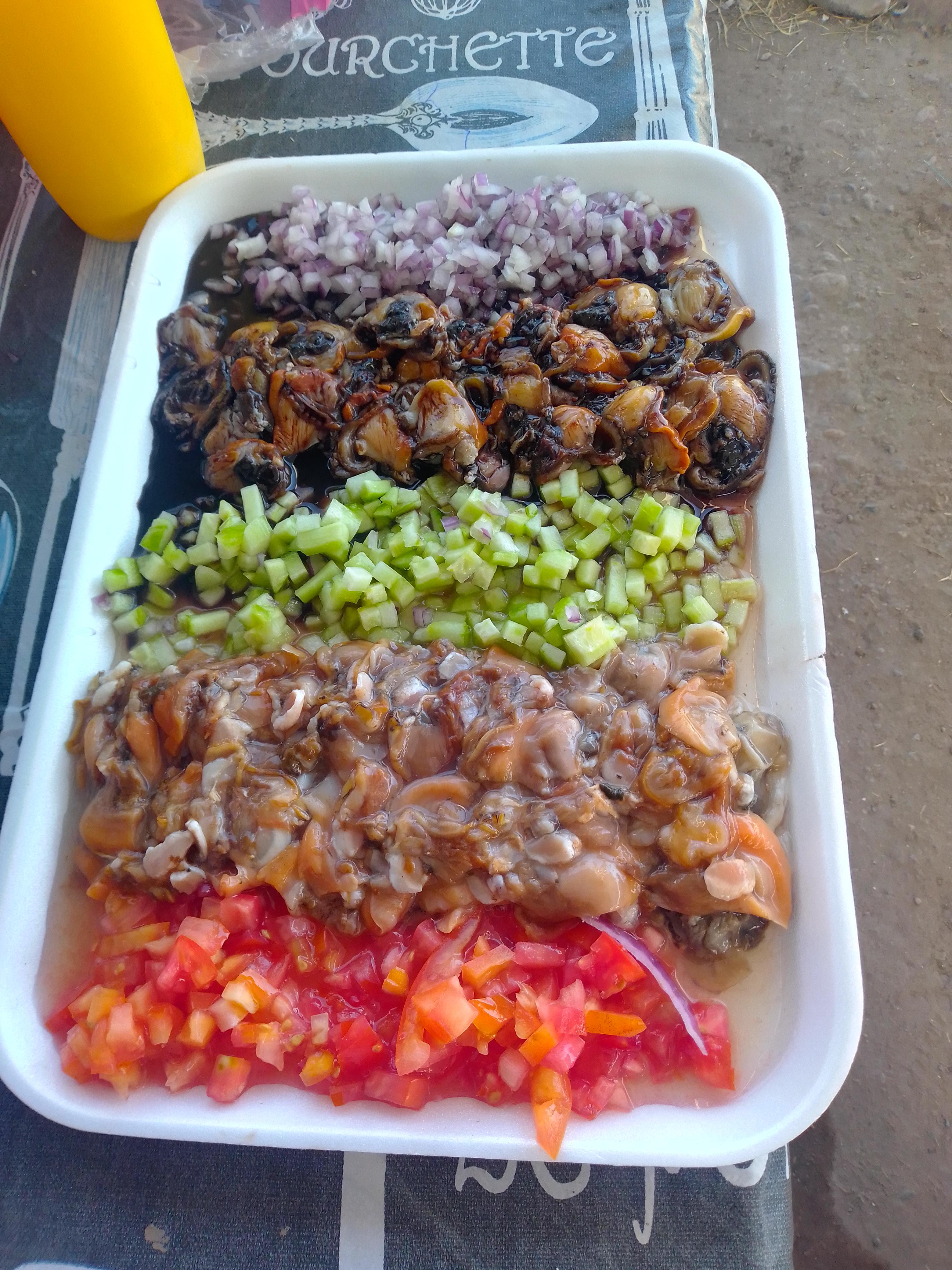 ALMEJAS EL CRUCERO DE ESPERANZA image 6