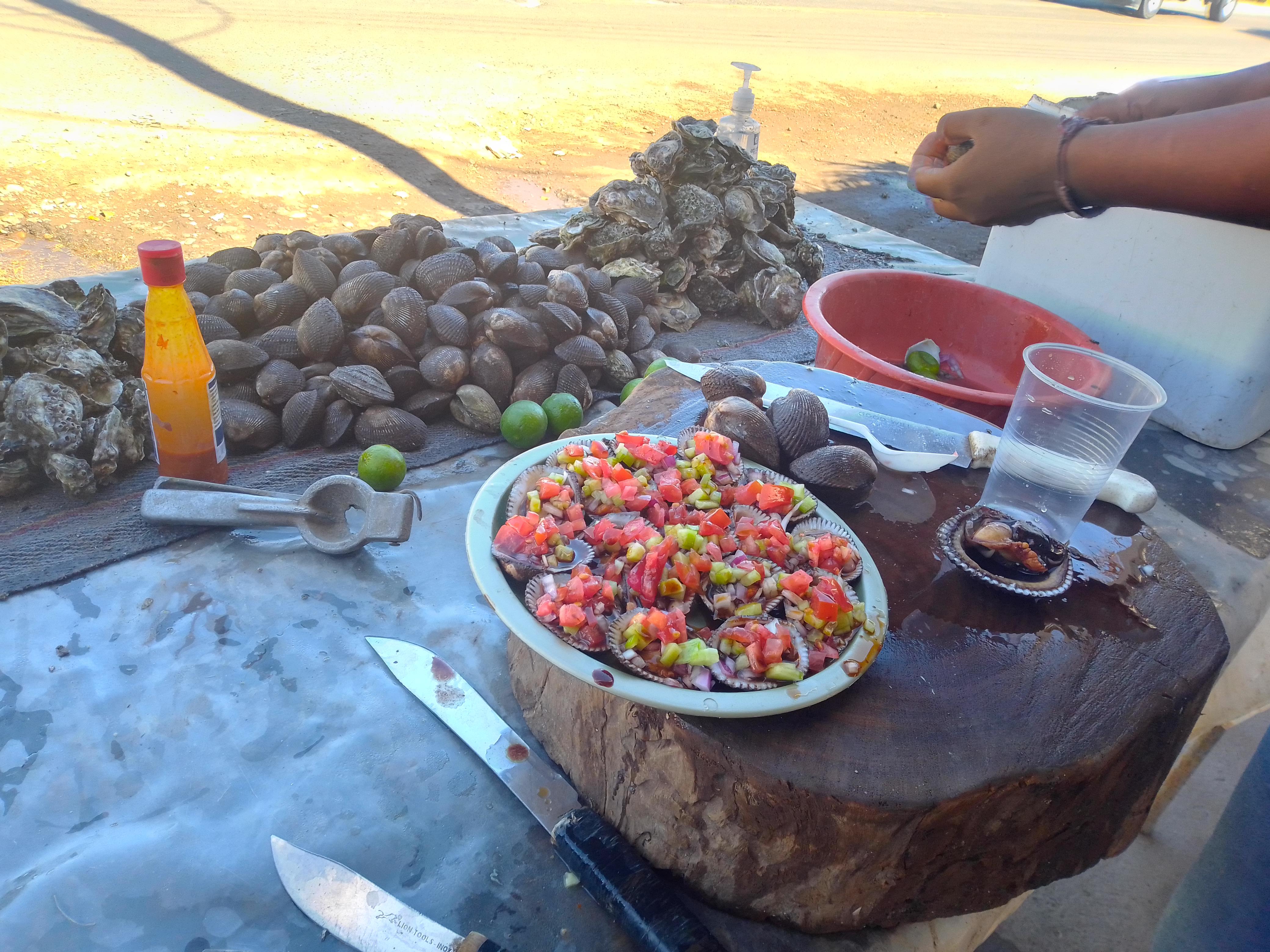 ALMEJAS EL CRUCERO DE ESPERANZA image 7