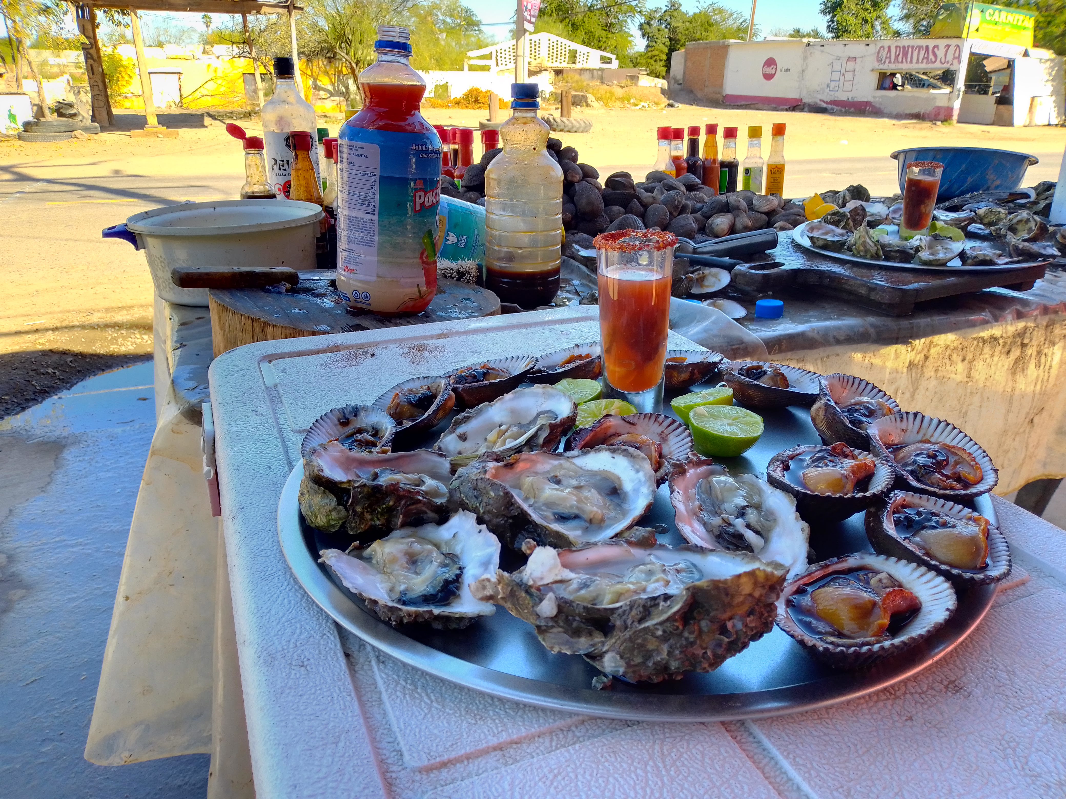 ALMEJAS EL CRUCERO DE ESPERANZA image 8