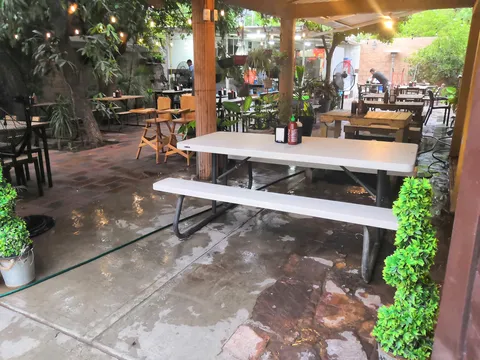 Garden Wings & Roll image 5