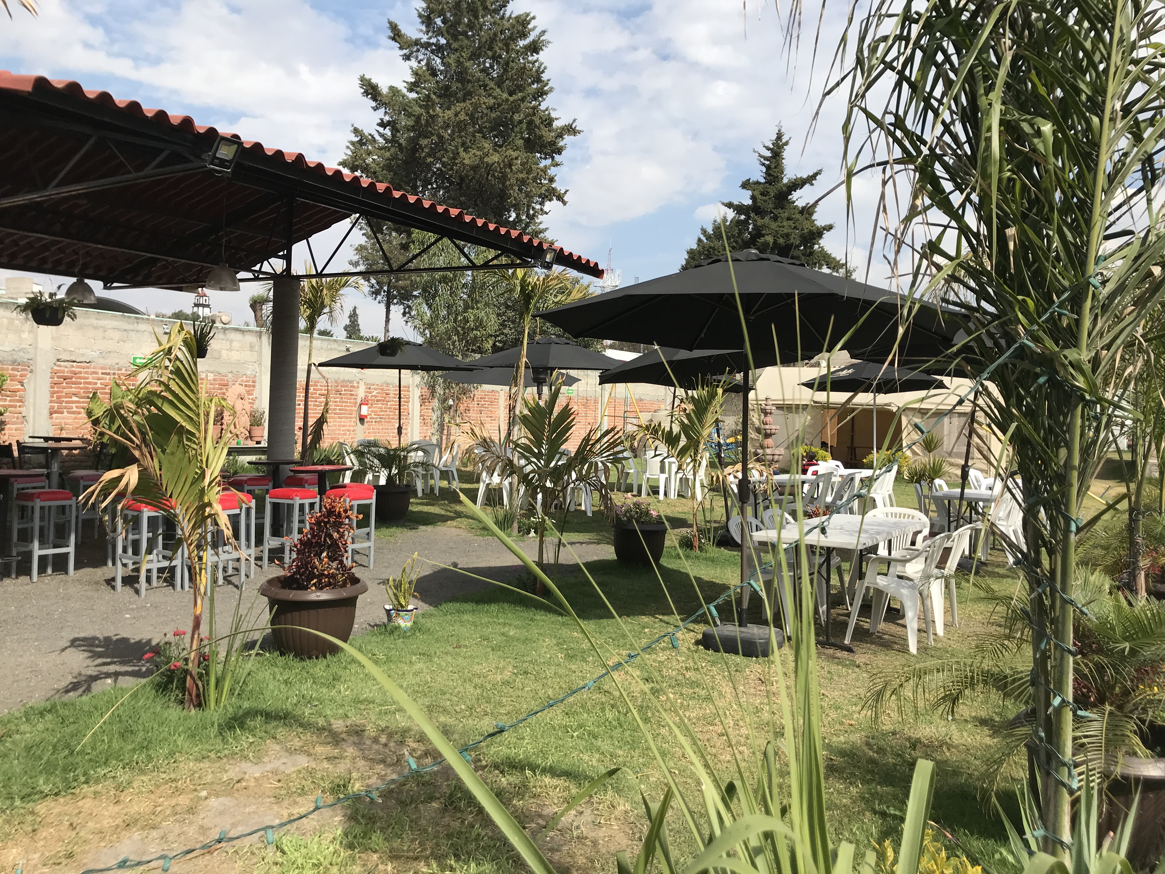 Yamilas Garden image 4