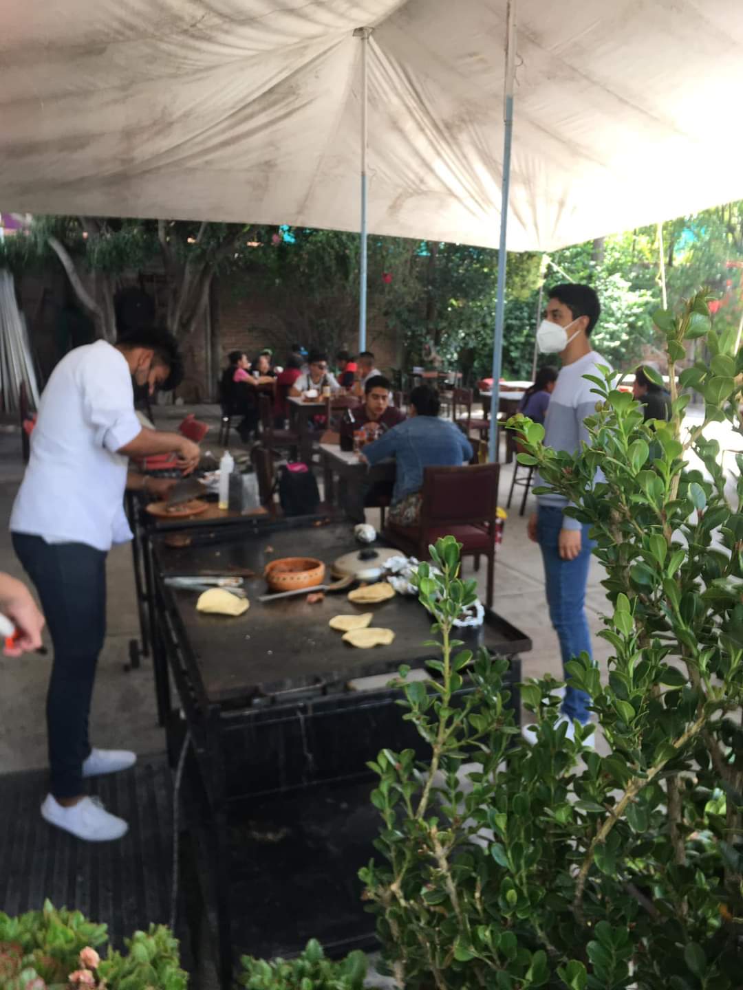 Las Bugambilias (Grill, Beer & Mezcal) image 6