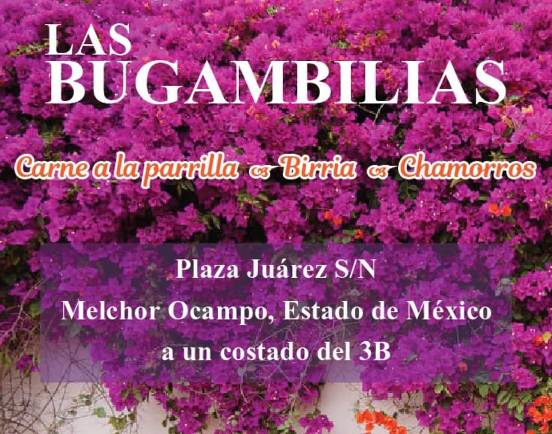 Las Bugambilias (Grill, Beer & Mezcal) image 8