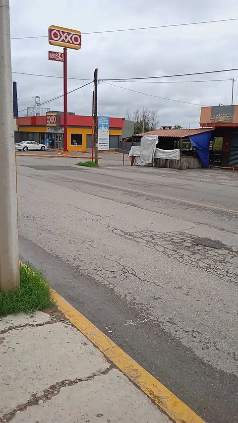 La gringa image 6