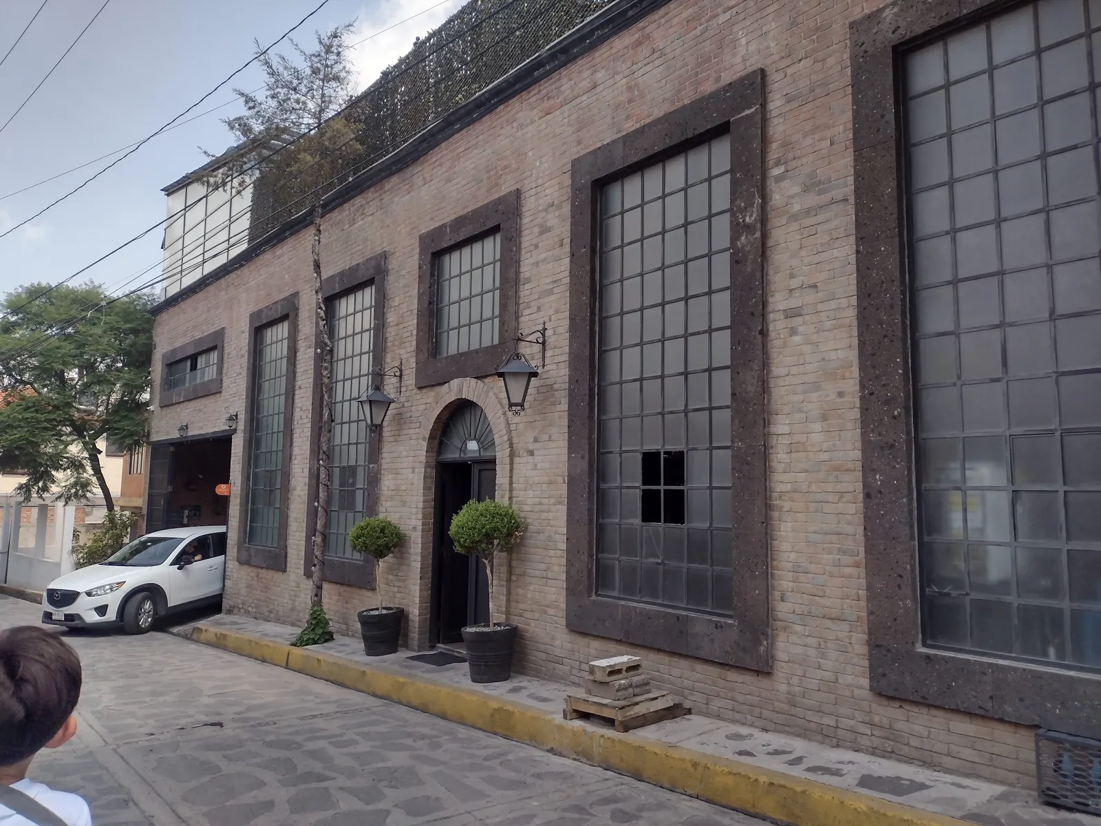 Pulpo Negro image 9