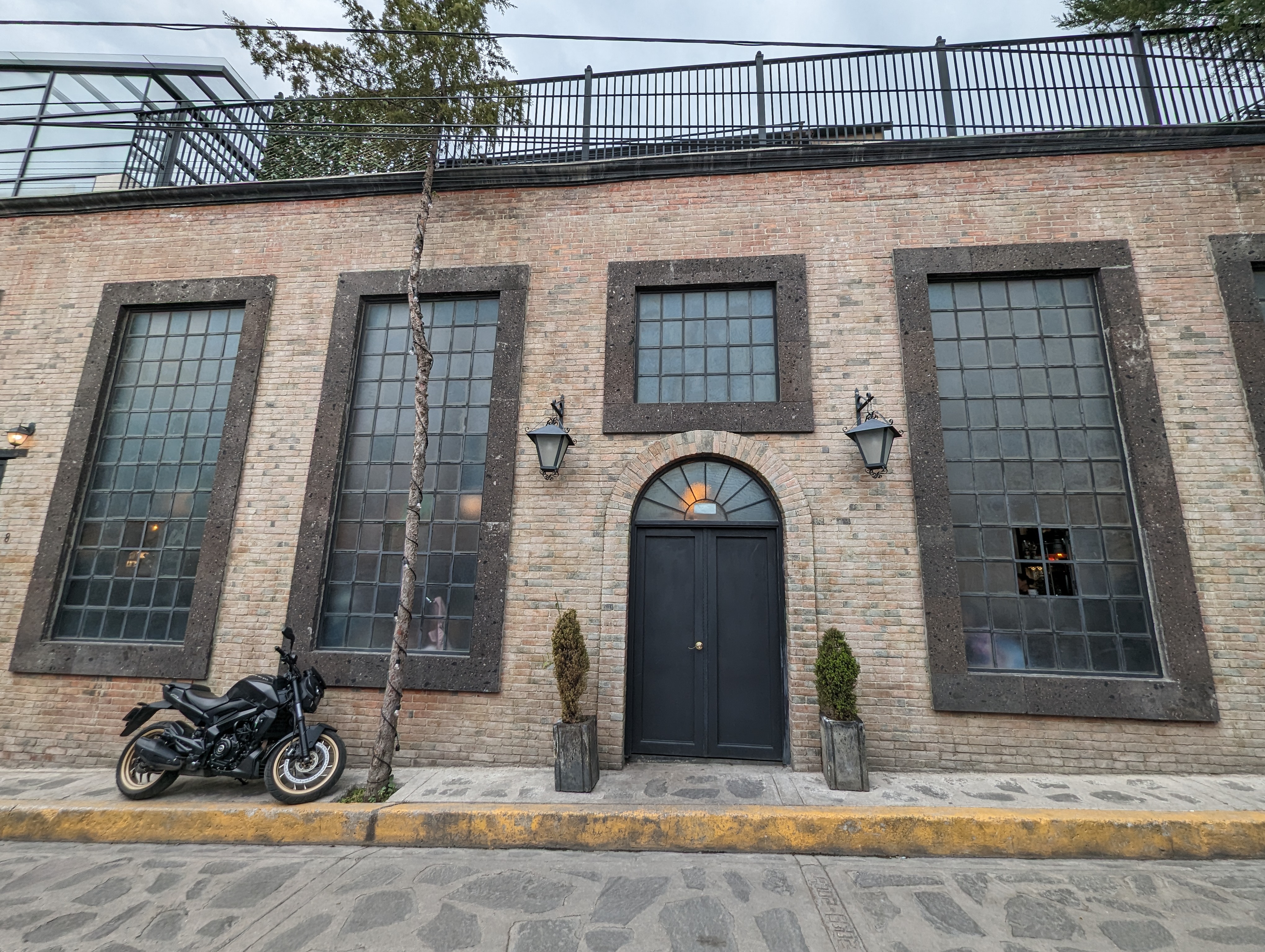 Pulpo Negro image 10