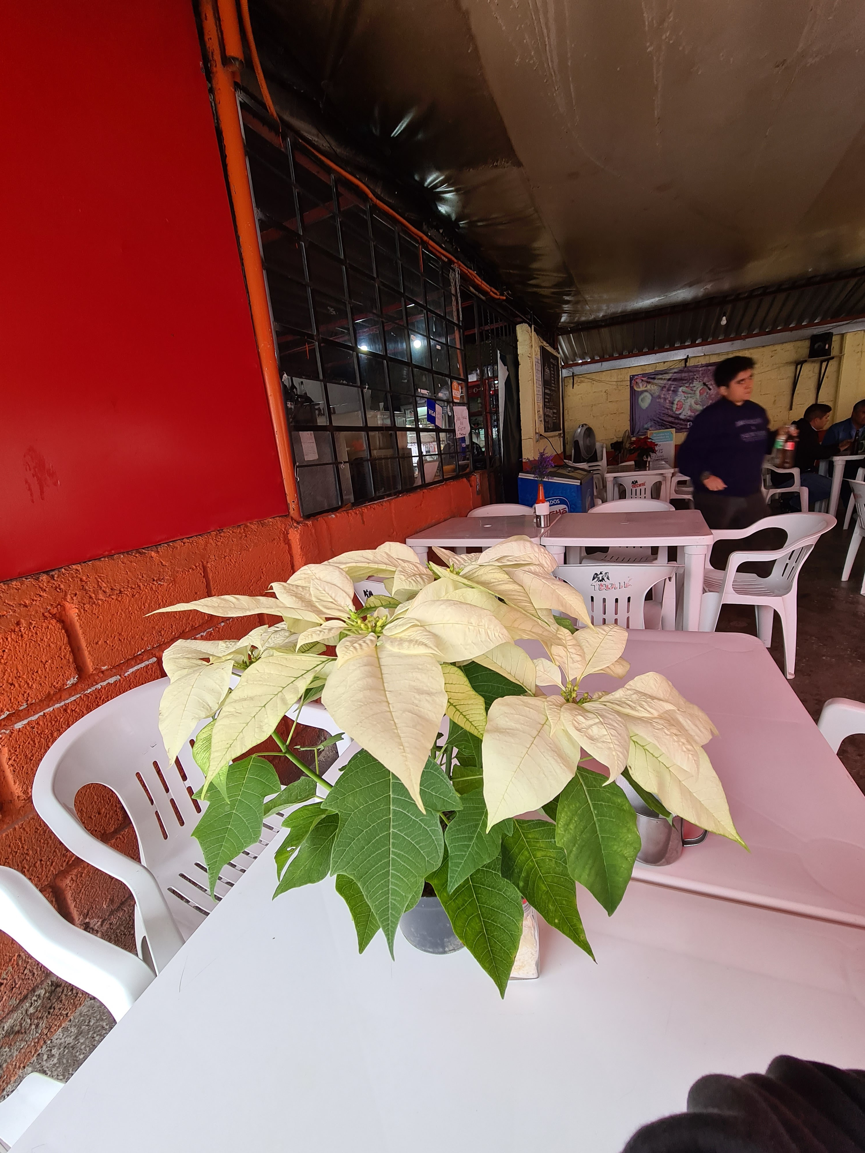 La Parrilla del Tio Qkis image 7