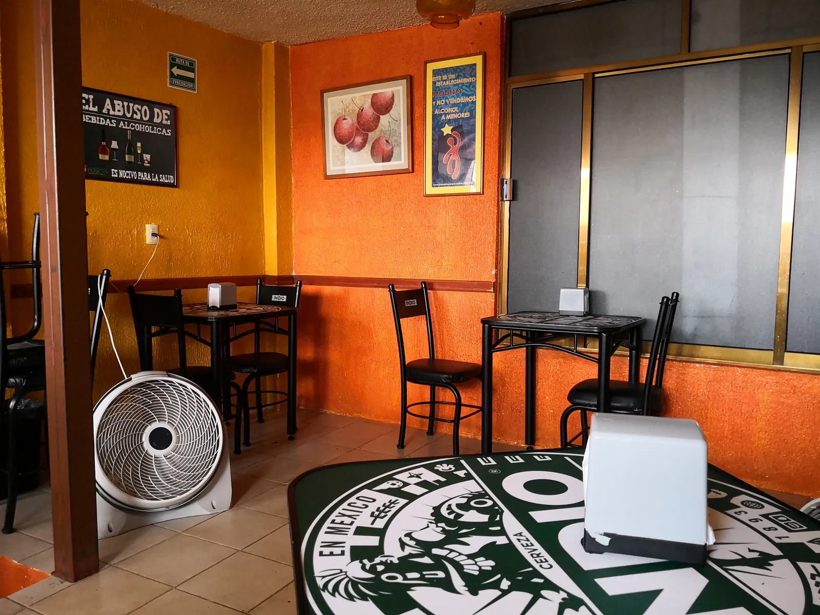 Los Pericos image 5