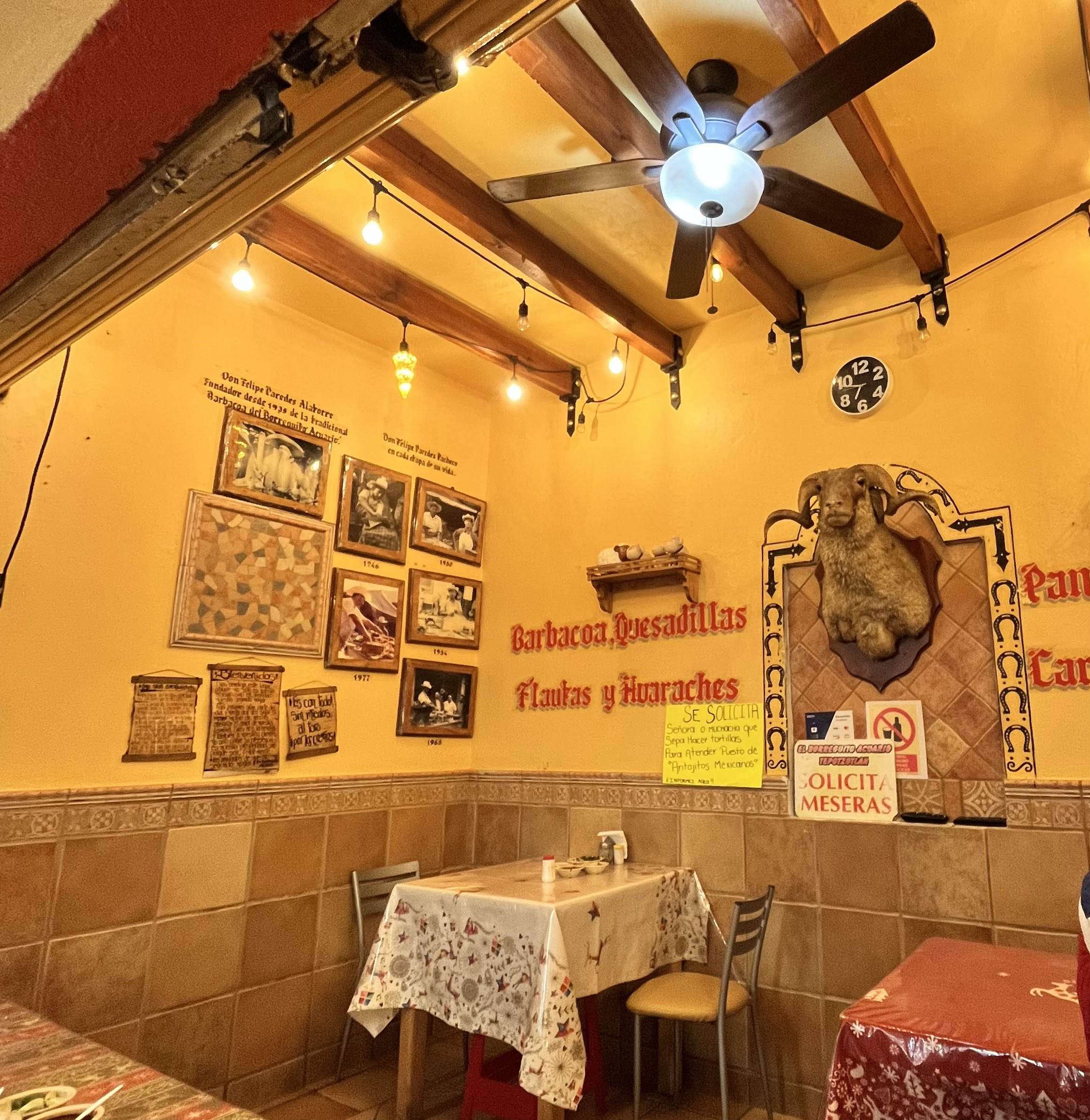 El Borreguito Acuario image 5