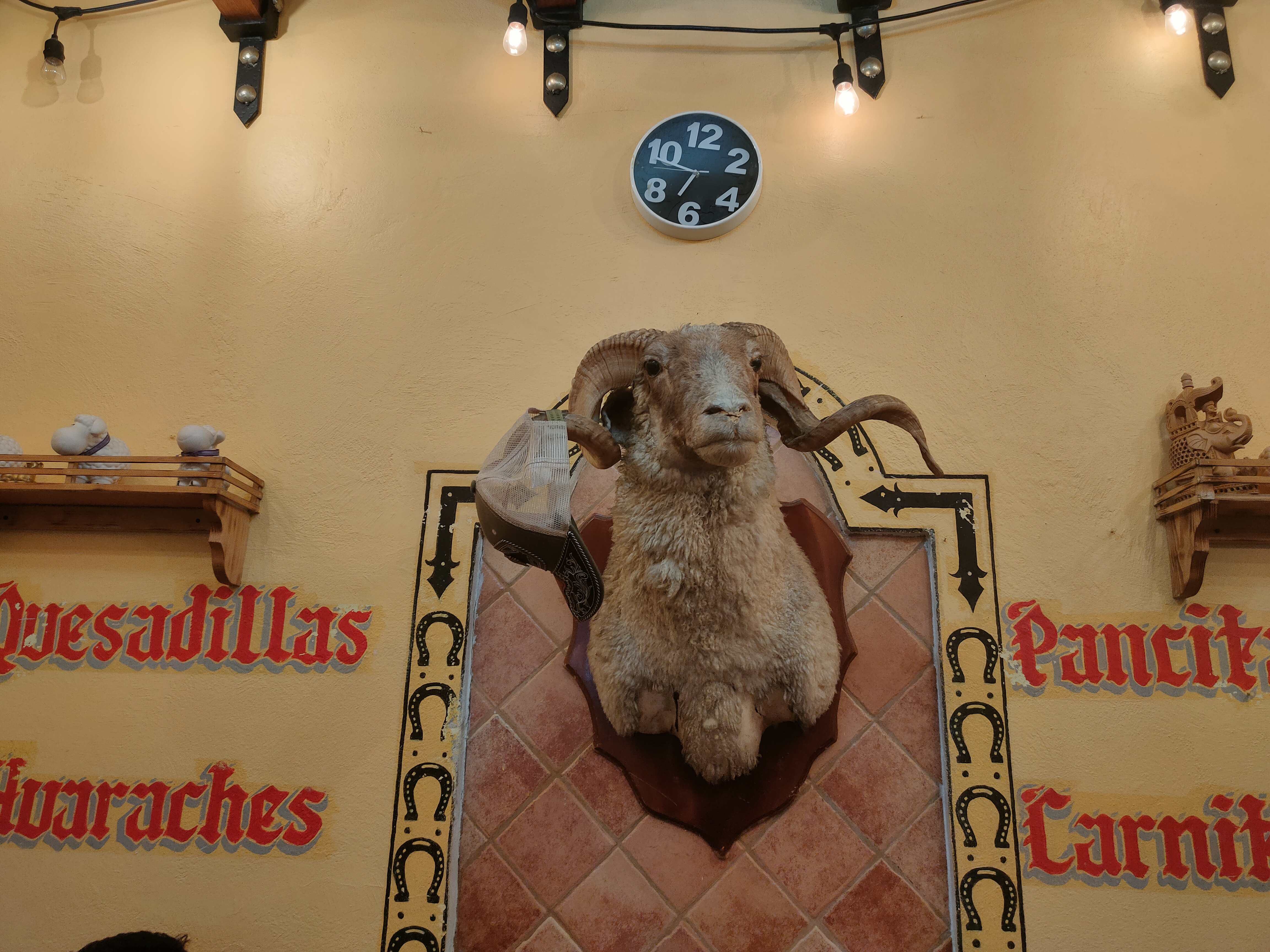 El Borreguito Acuario image 9