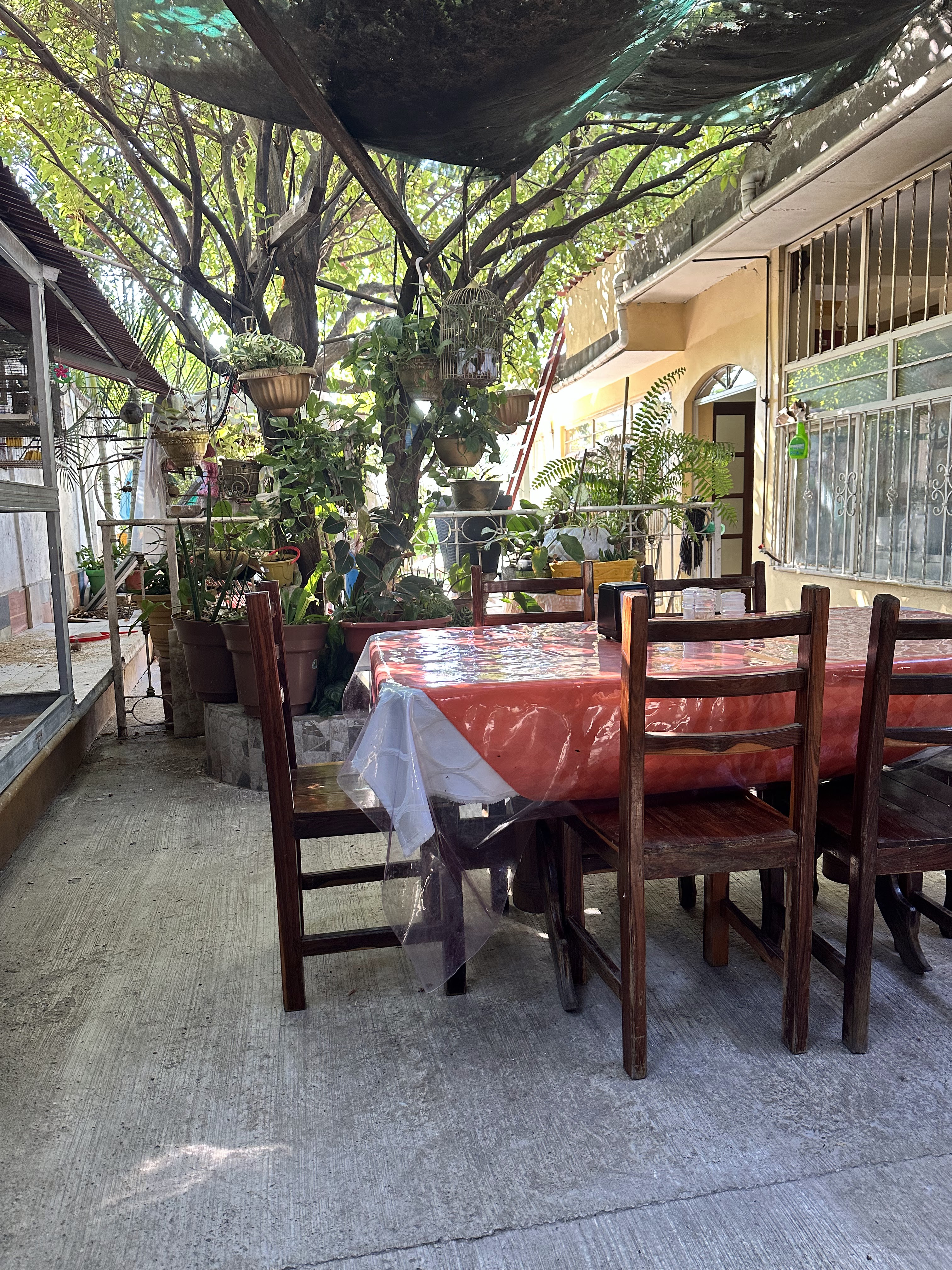 Cabaña Latino image 8