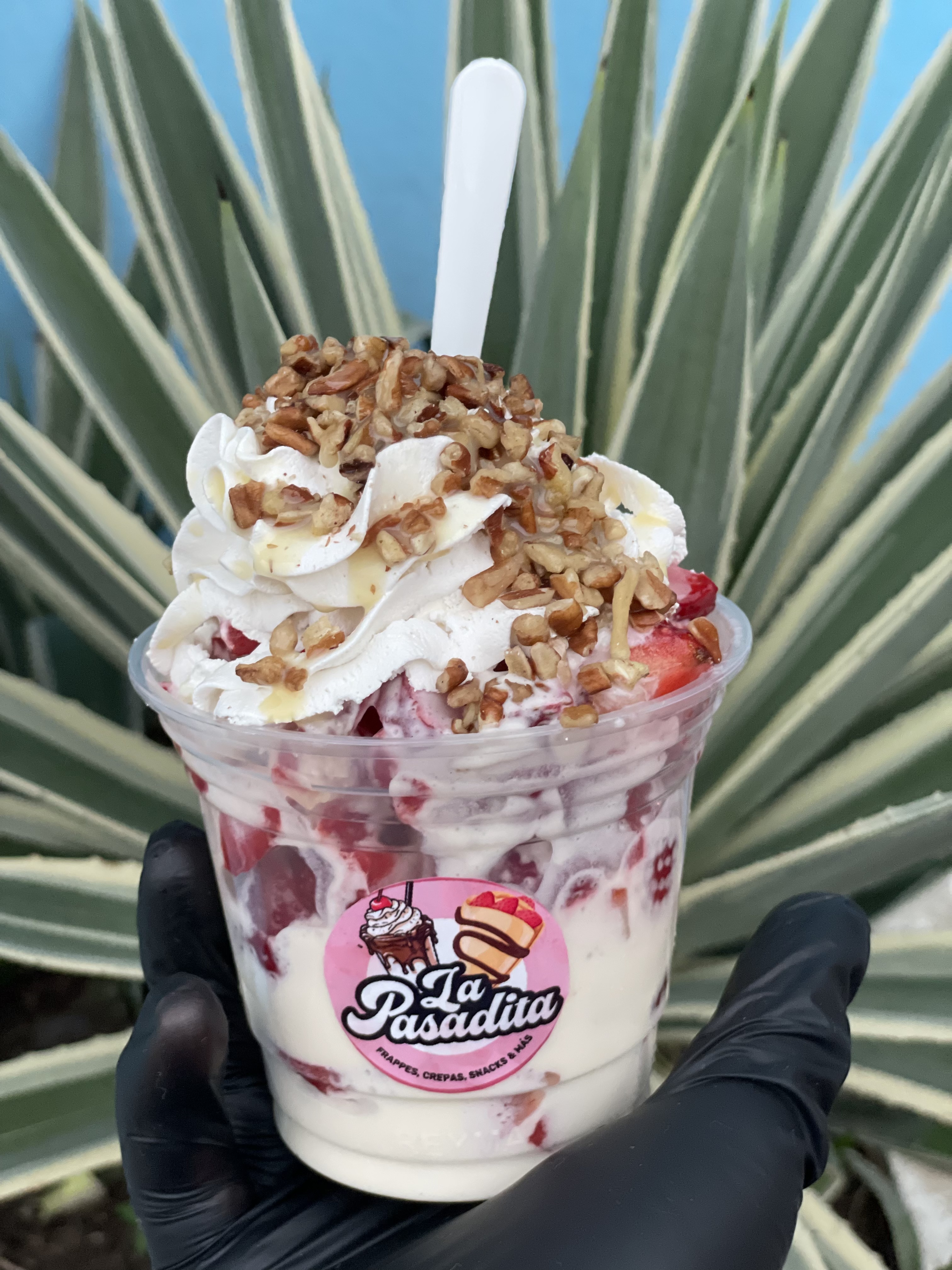 La Pasaditaa image 9