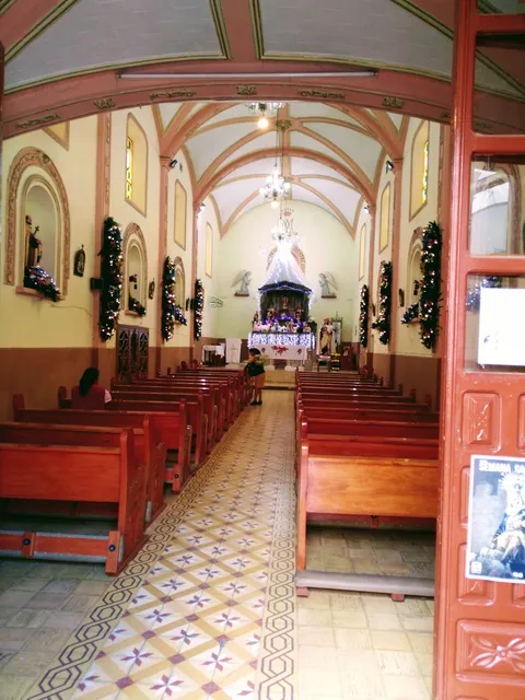 Taz image 7