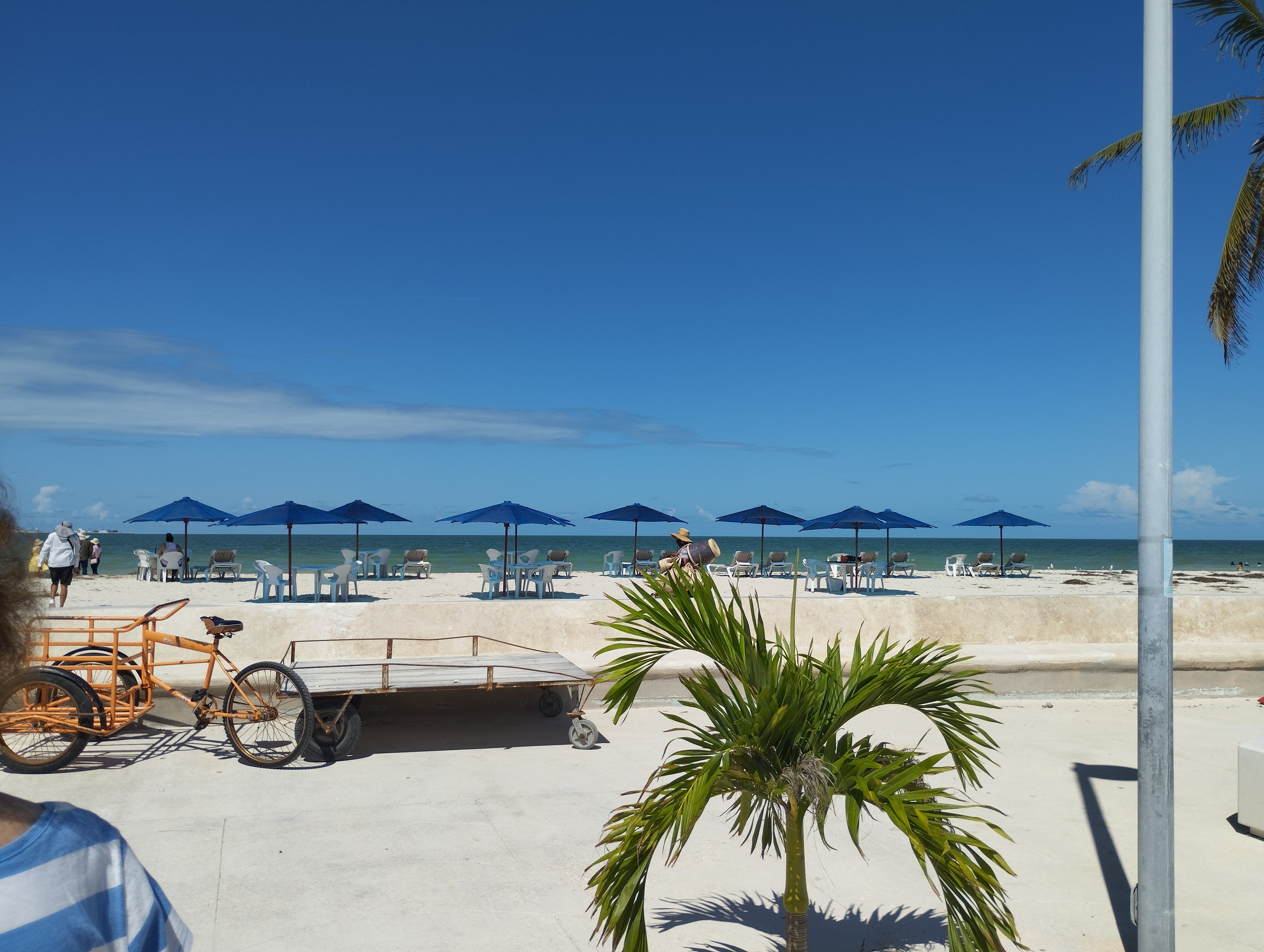 Los Mariscos de Chichí image 4