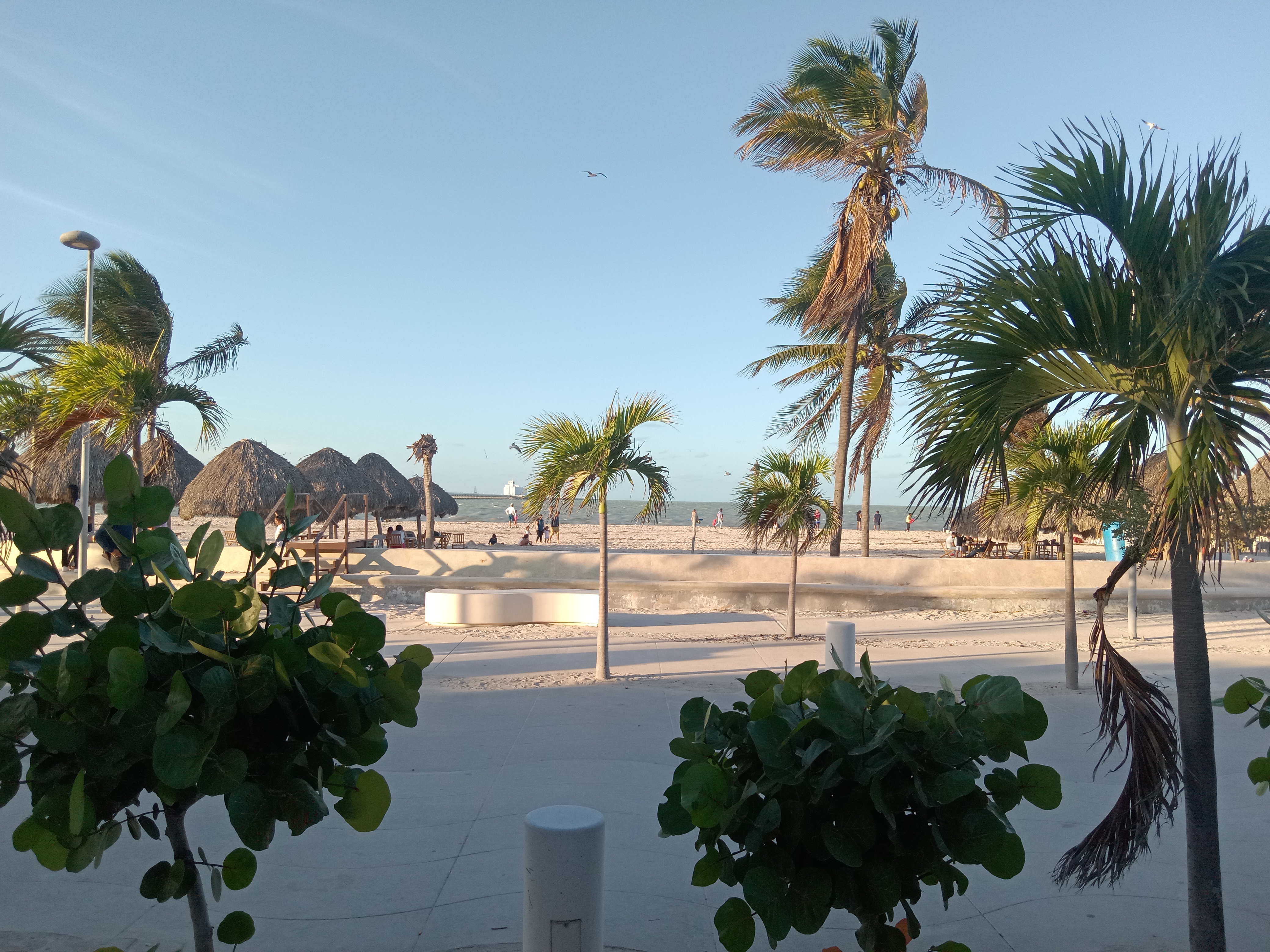 Le Saint Bonnet image 6