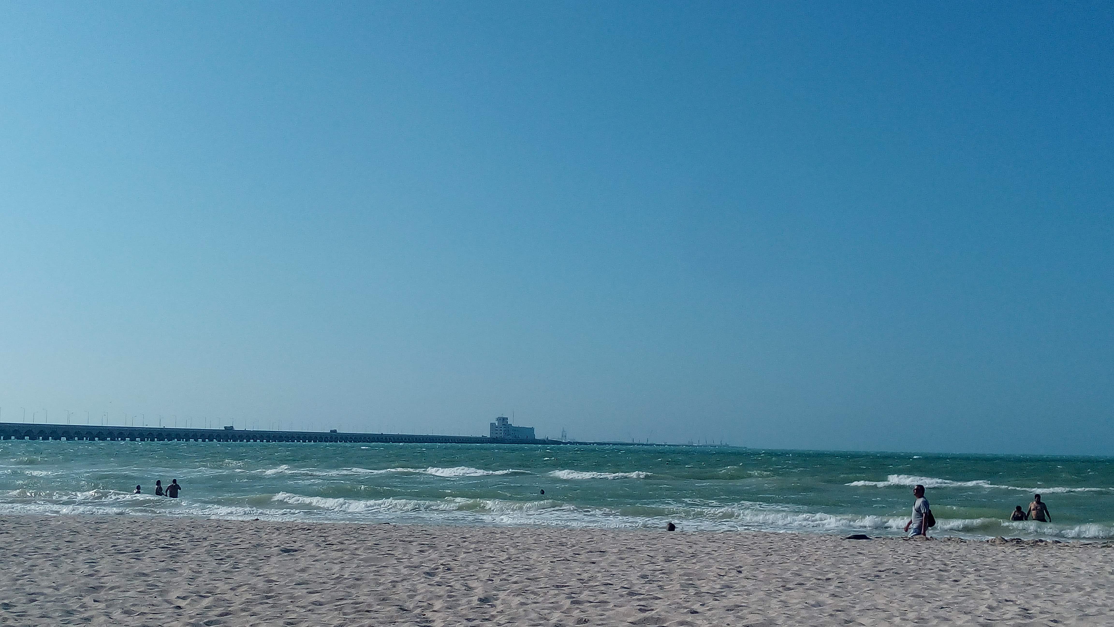 El Pulpo Loco image 9