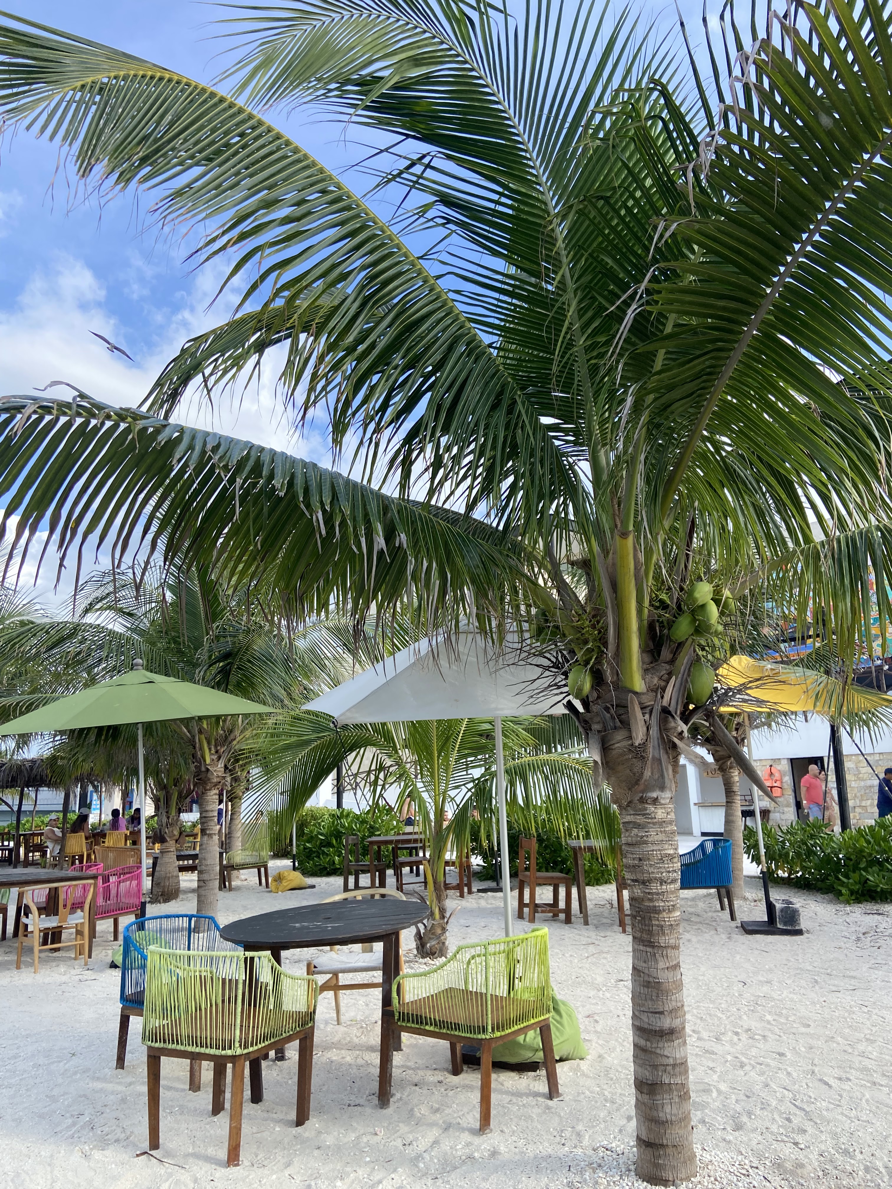 Marymar Beach Club image 3