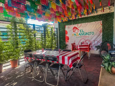 El habanerito villaflores image 1