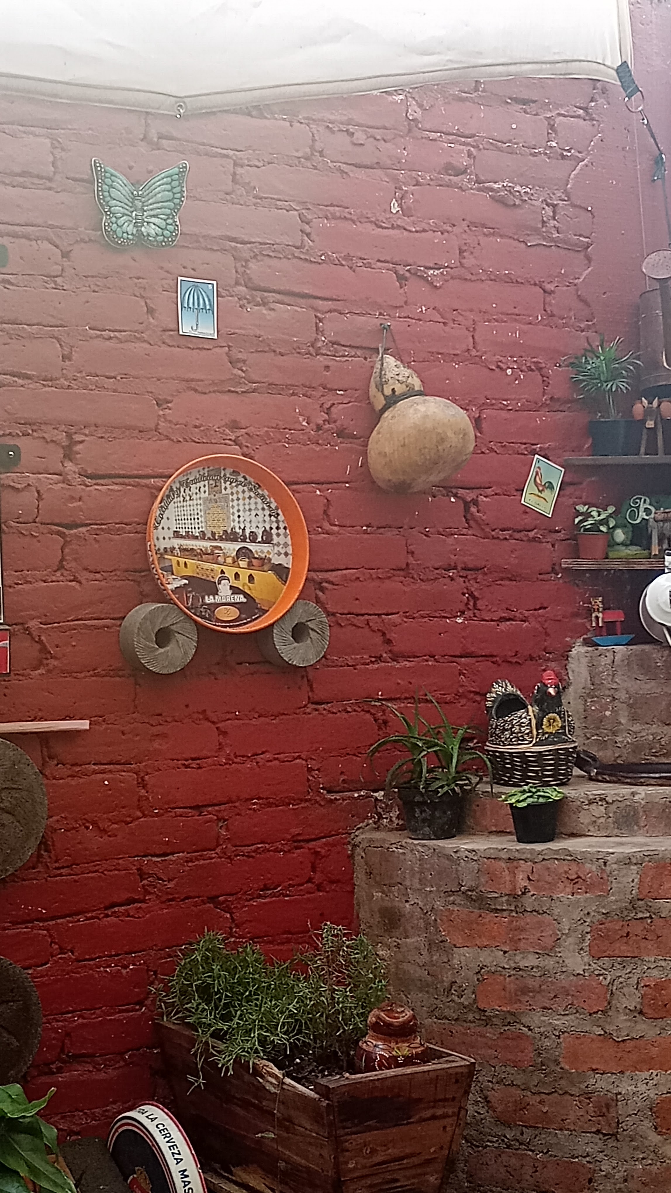 Gorditas Mi Raíz image 4