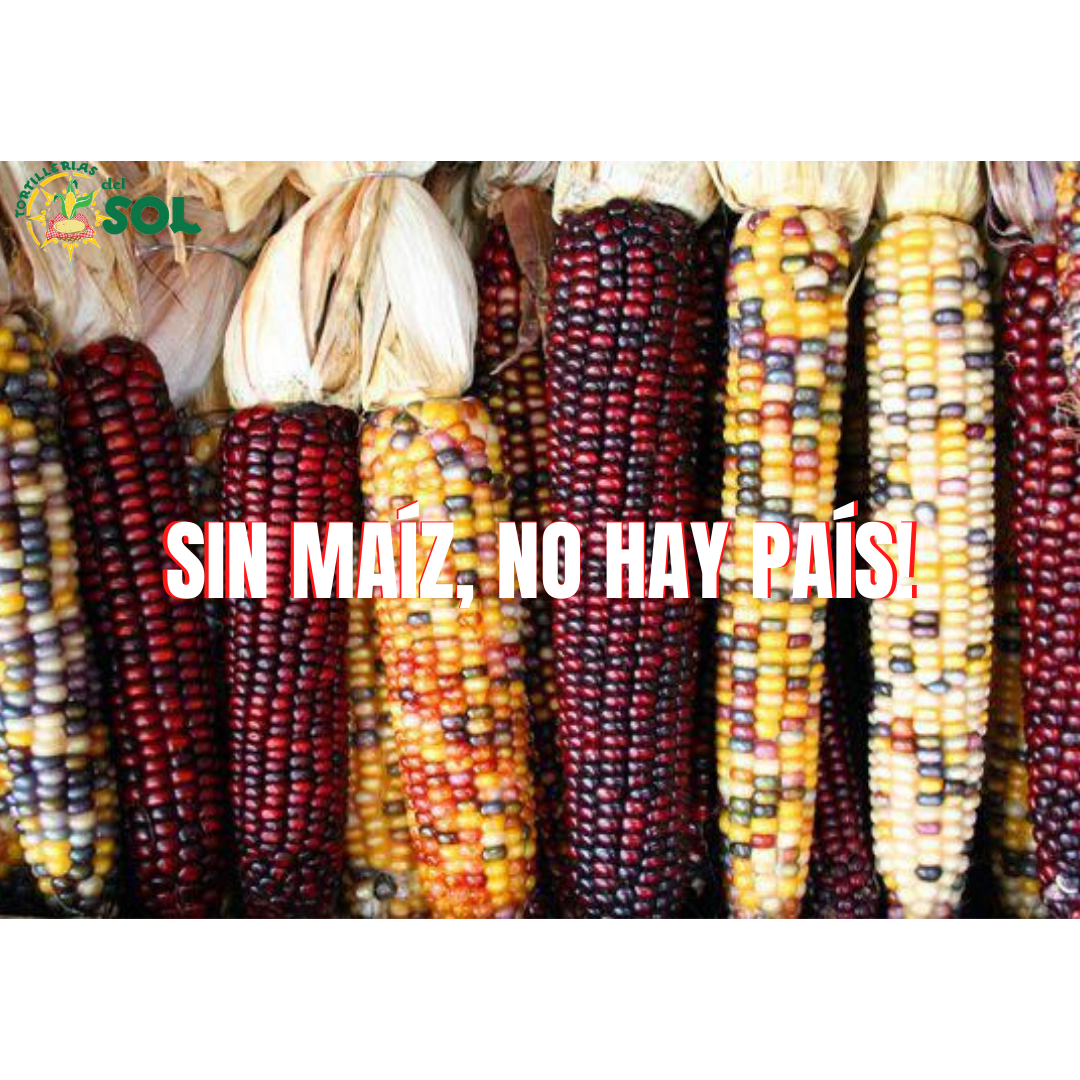 "ALSOL” Tortilleria image 2