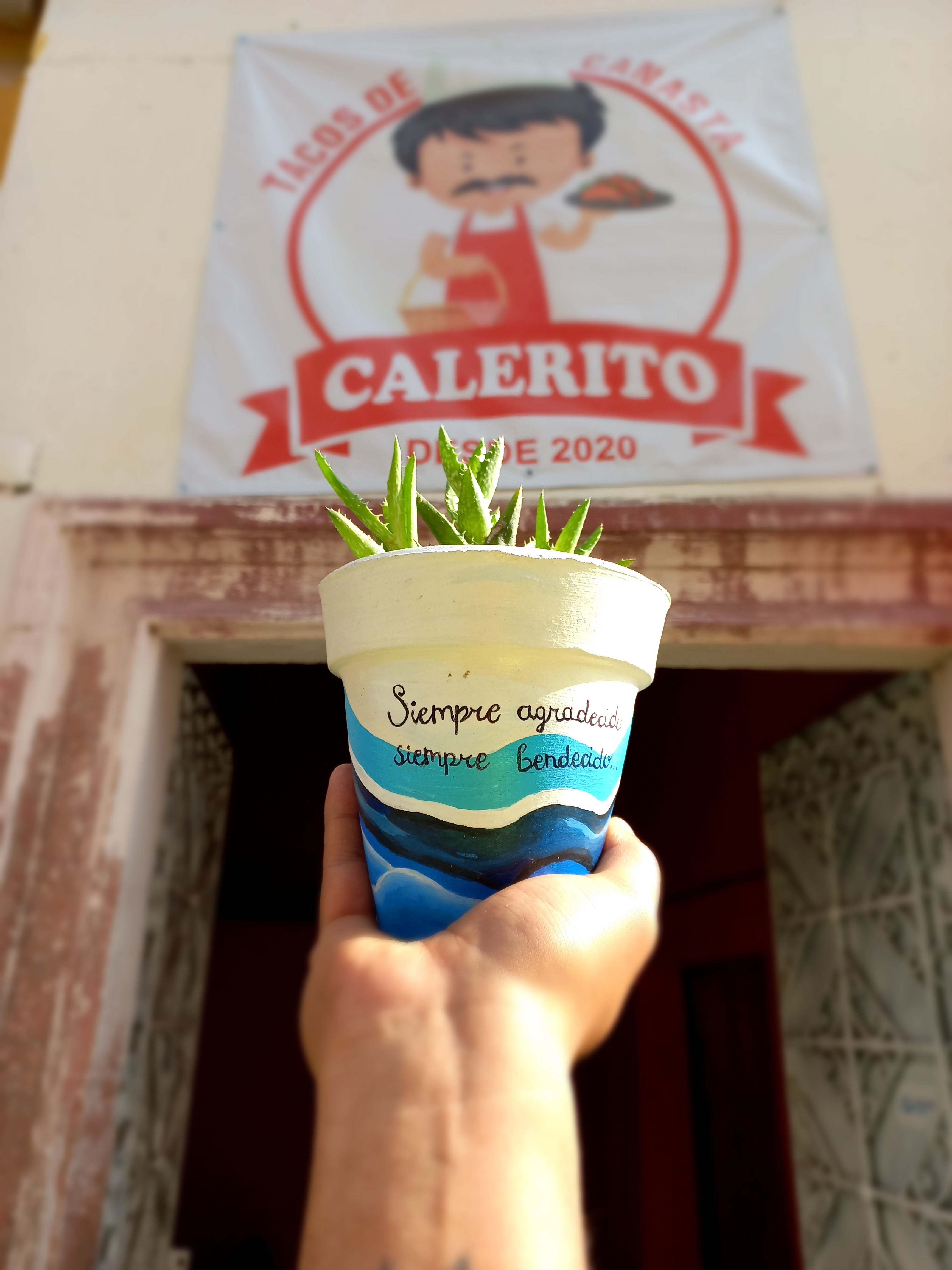 Salvatierra Calerito image 4