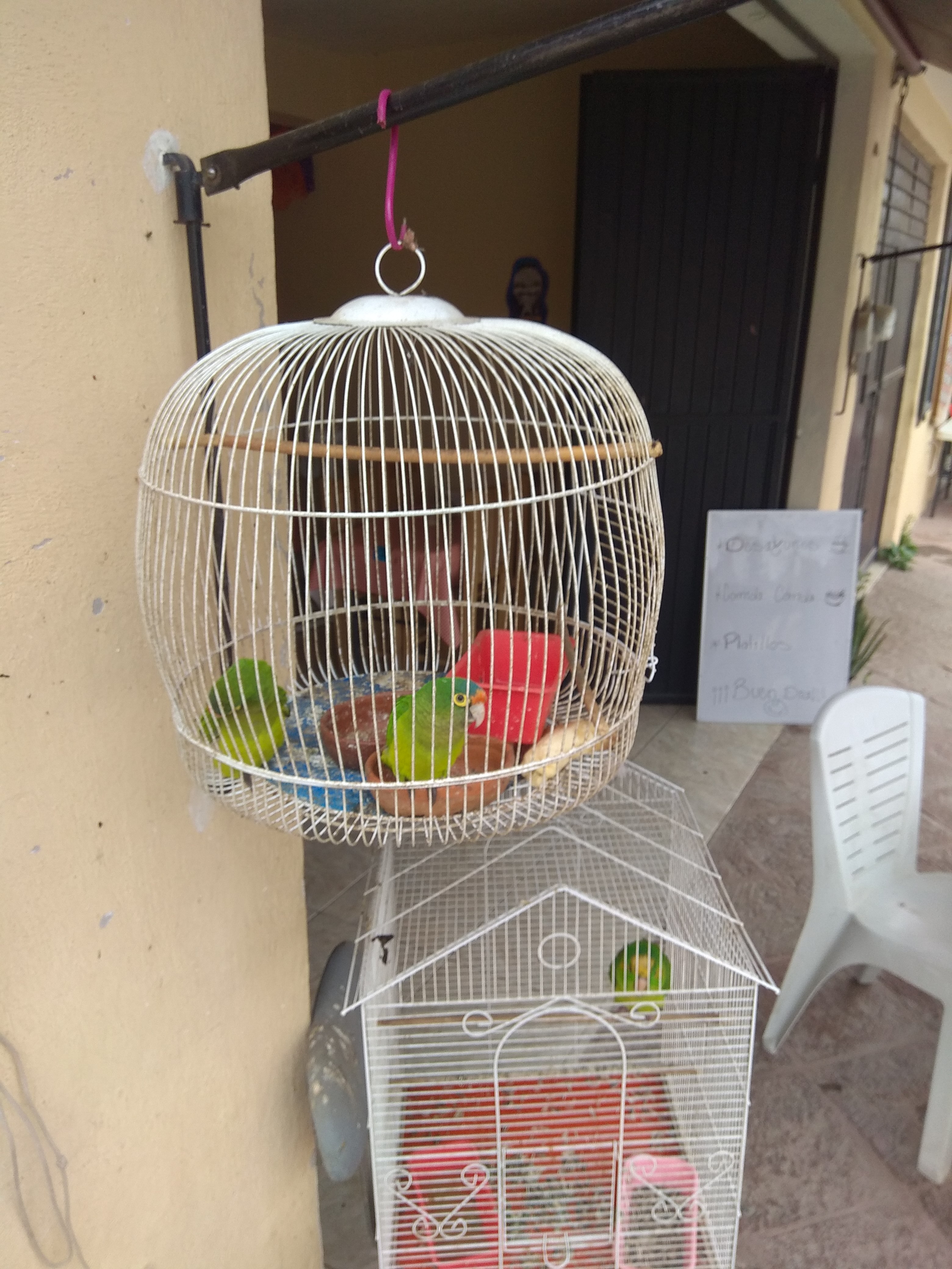 El Naranjito Fonda image 6