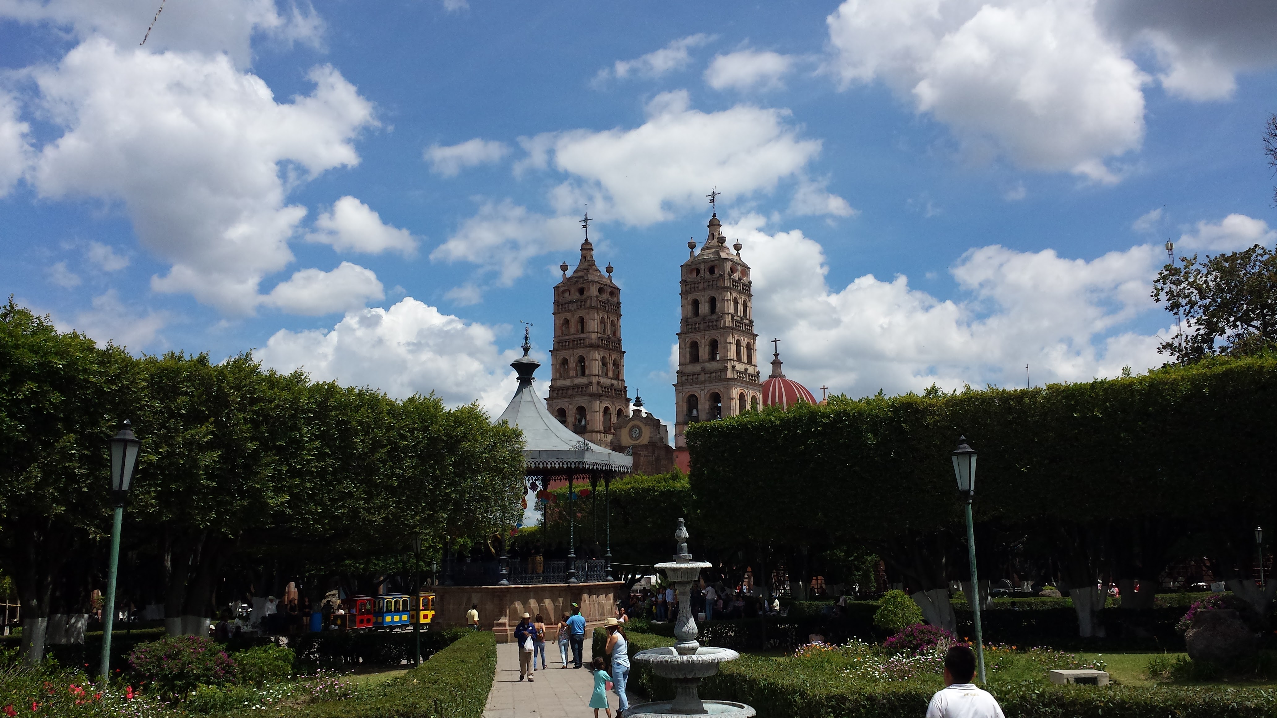 Güero’s Pizza image 6