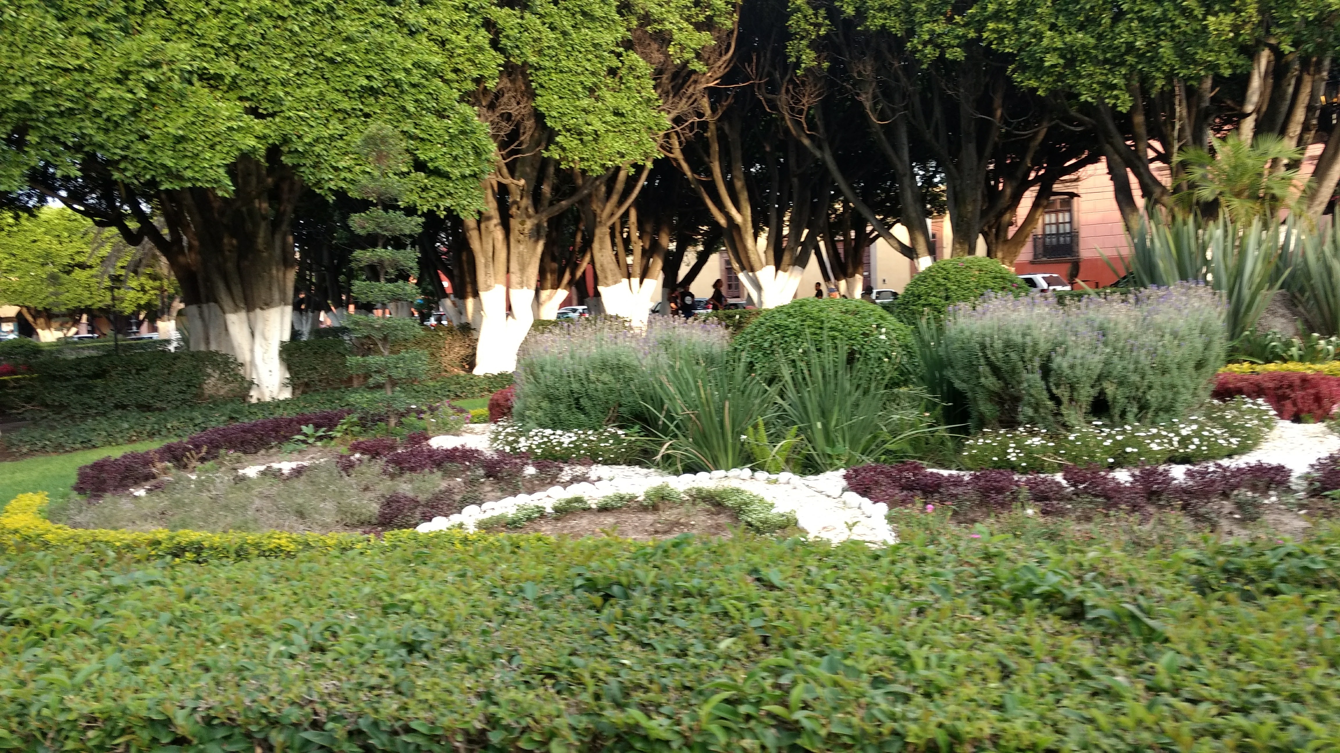 Güero’s Pizza image 10