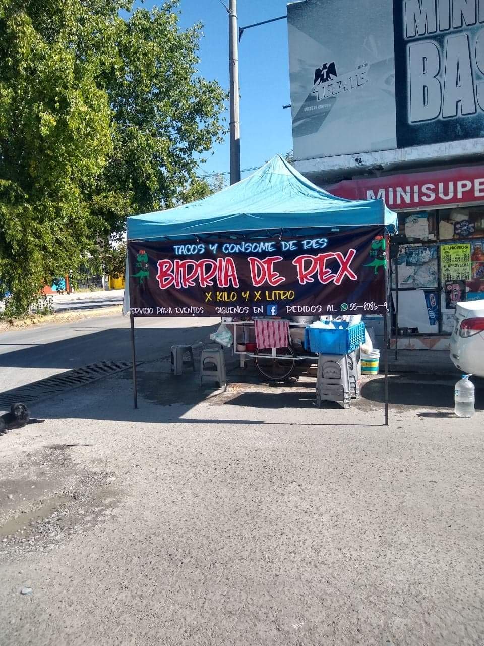 Birria de Rex image 8