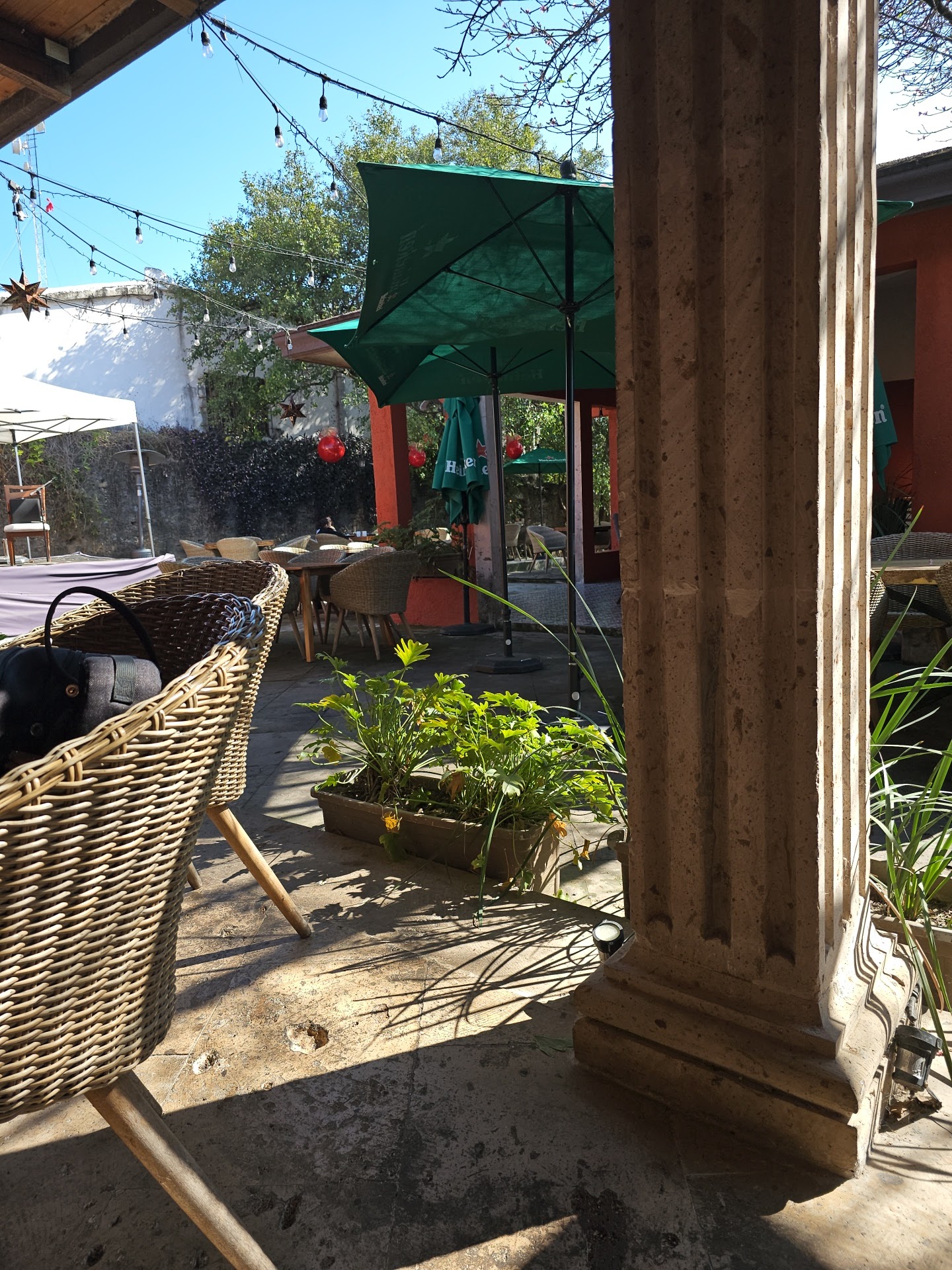 Hacienda 208 image 4