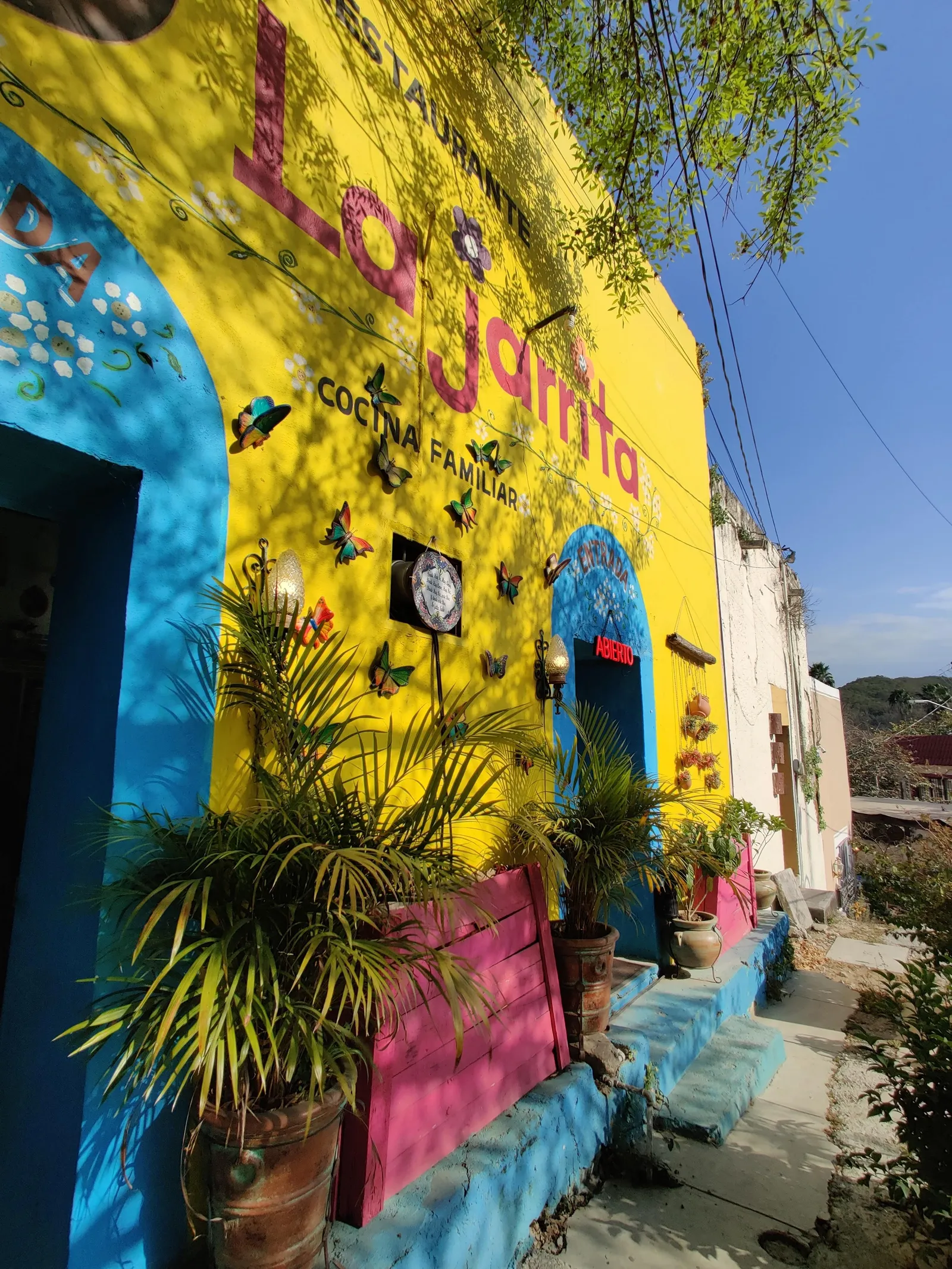 La jarrita image 3