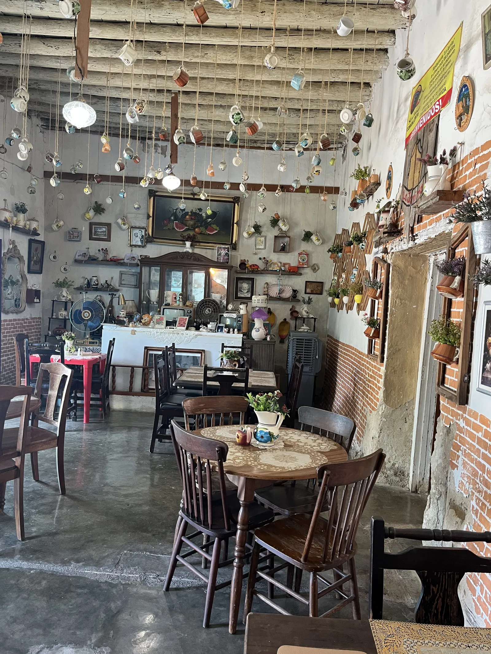La jarrita image 4