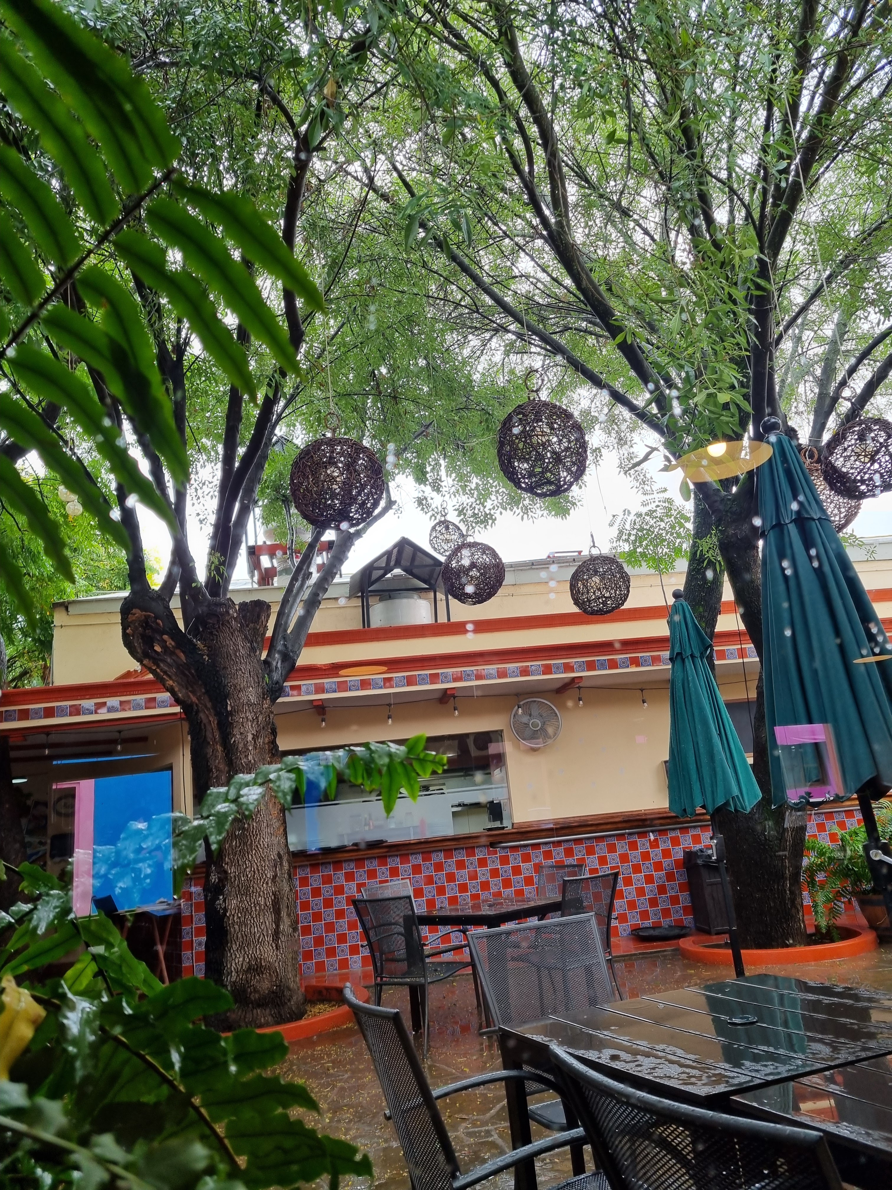 Querida Patria image 6