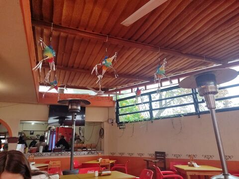 El Zaguan image 5