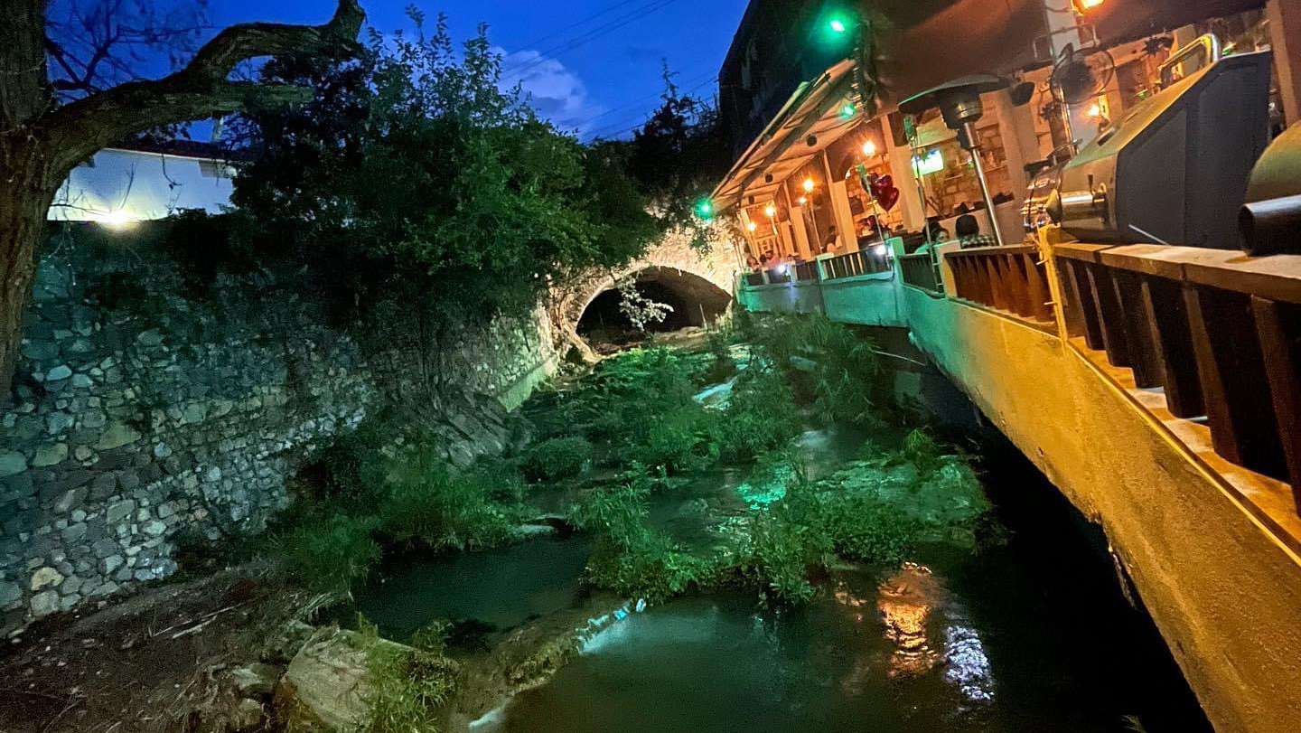 Güey de Monterrey image 3