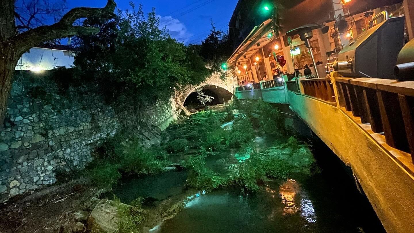 Güey de Monterrey image 3