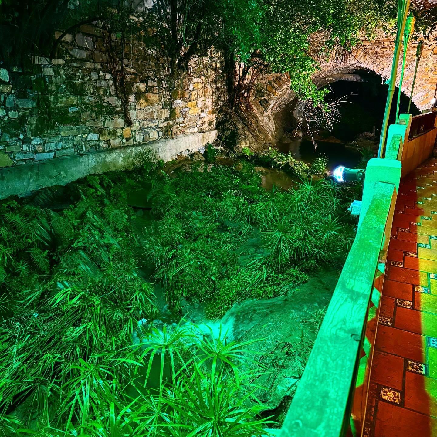 Güey de Monterrey image 7