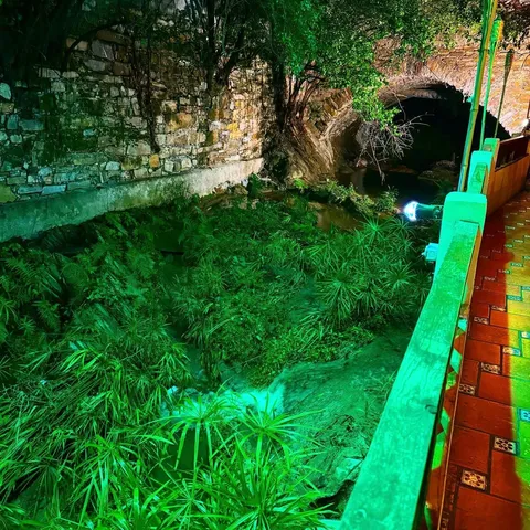 Güey de Monterrey image 7