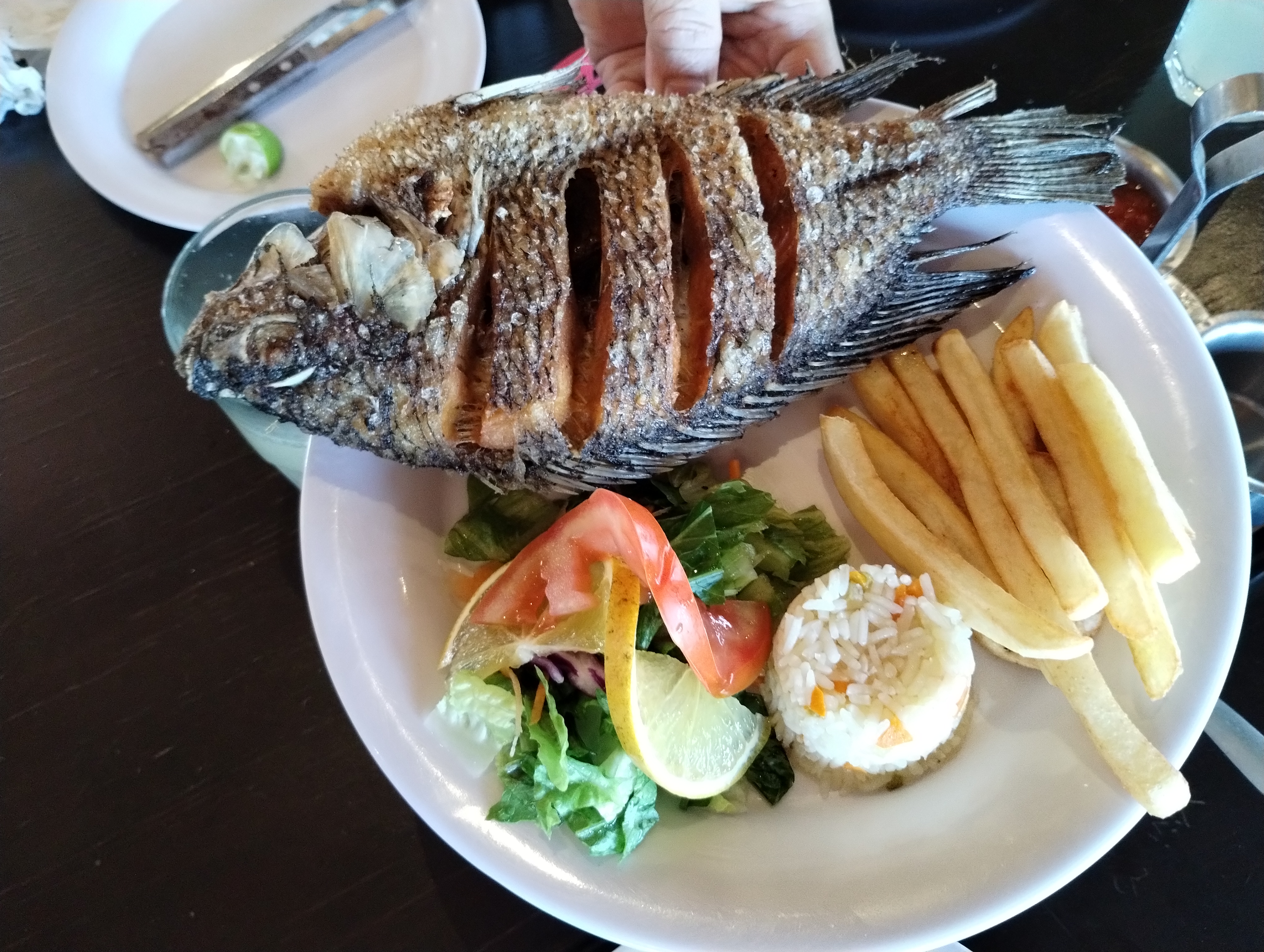 Los Cabritos - Alameda Carretera Nacional - Santiago image 3