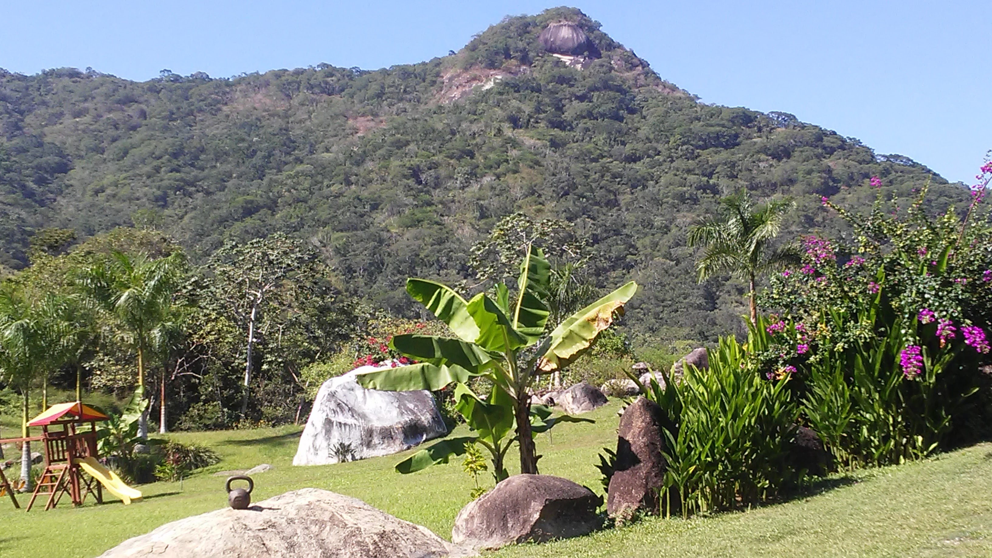 Carnitas El Rancho image 3