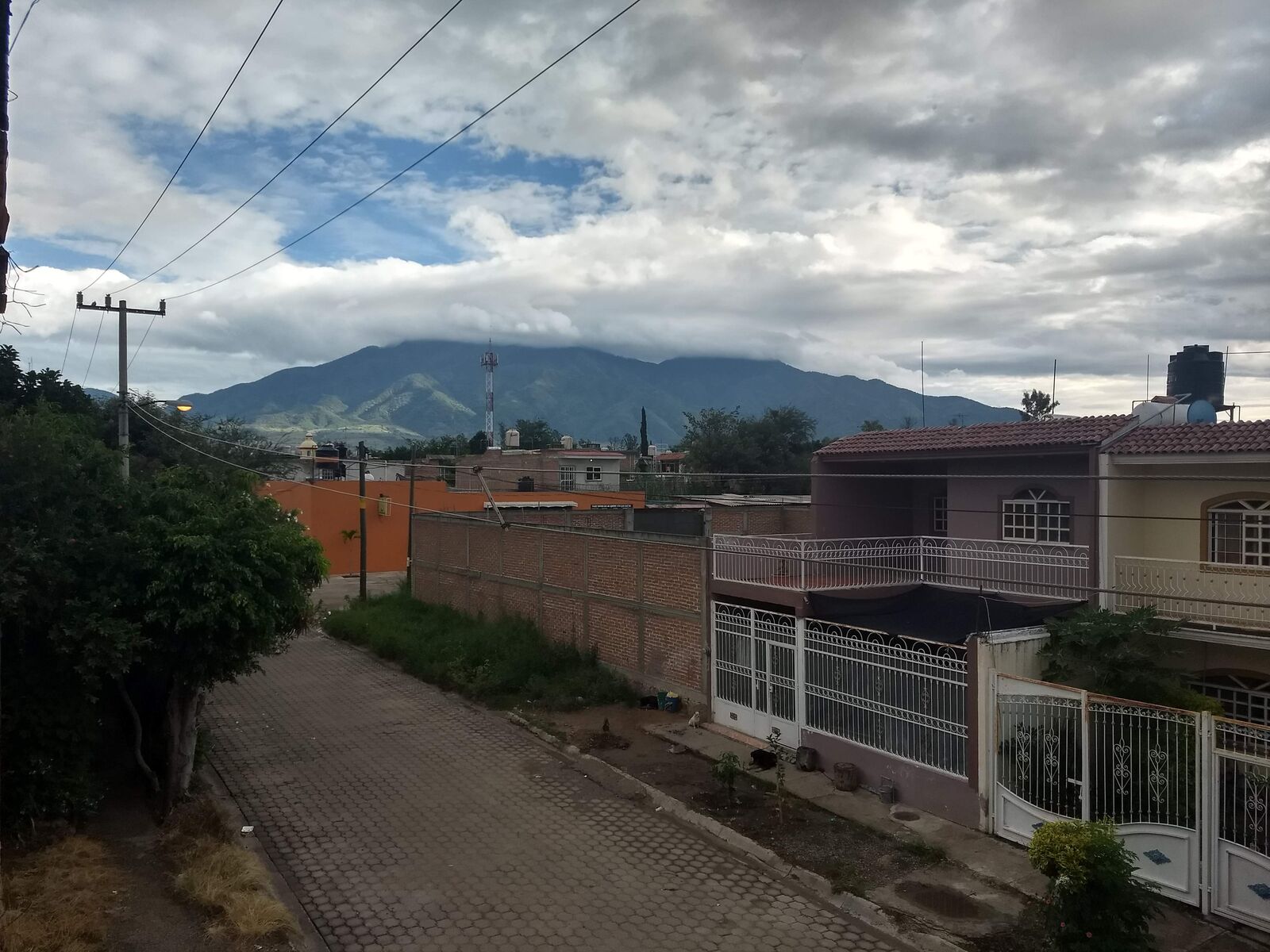 Las Limas image 2