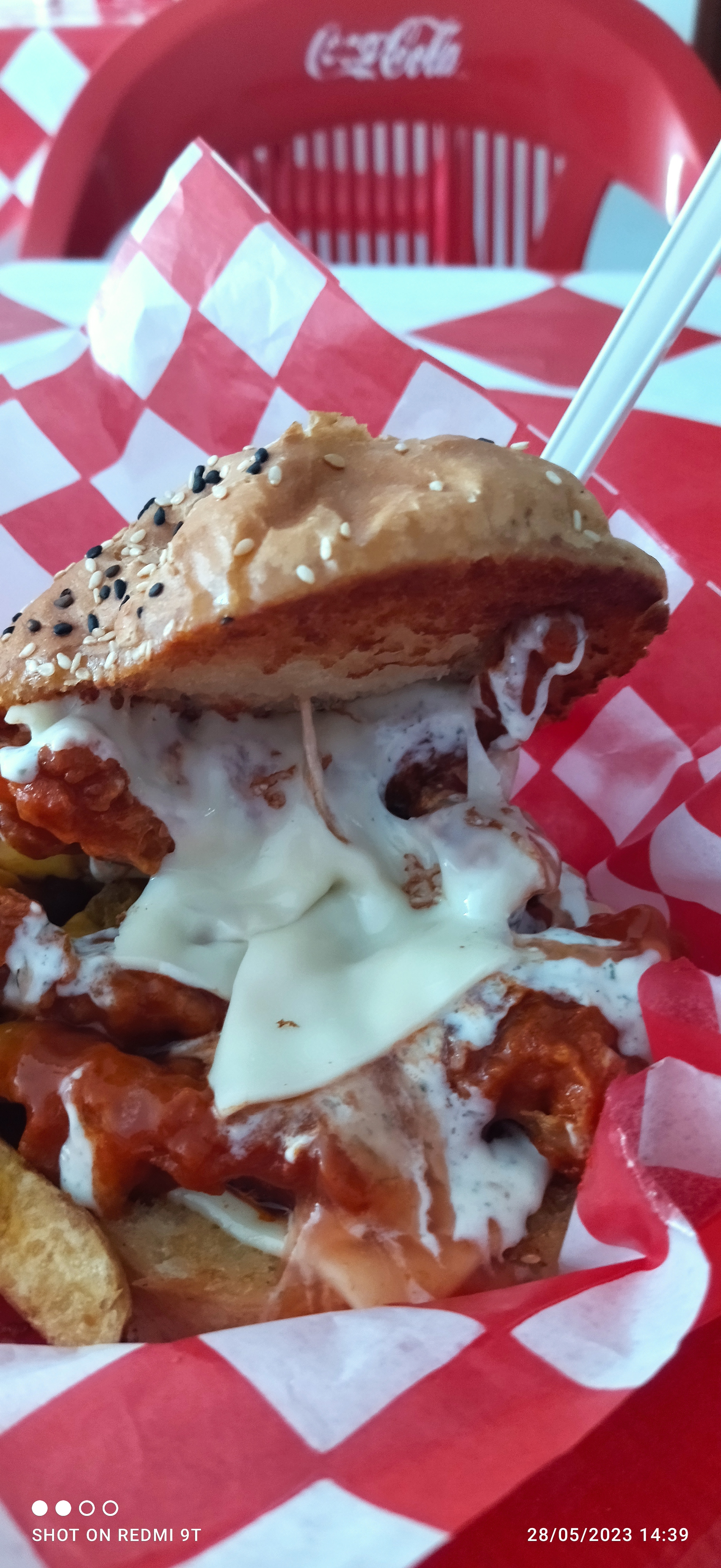 Aka's Chiken image 10