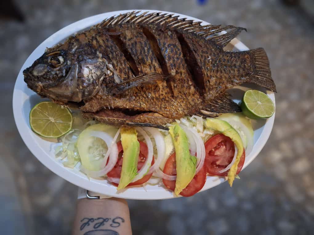 Restaurante "El Eden" image 6
