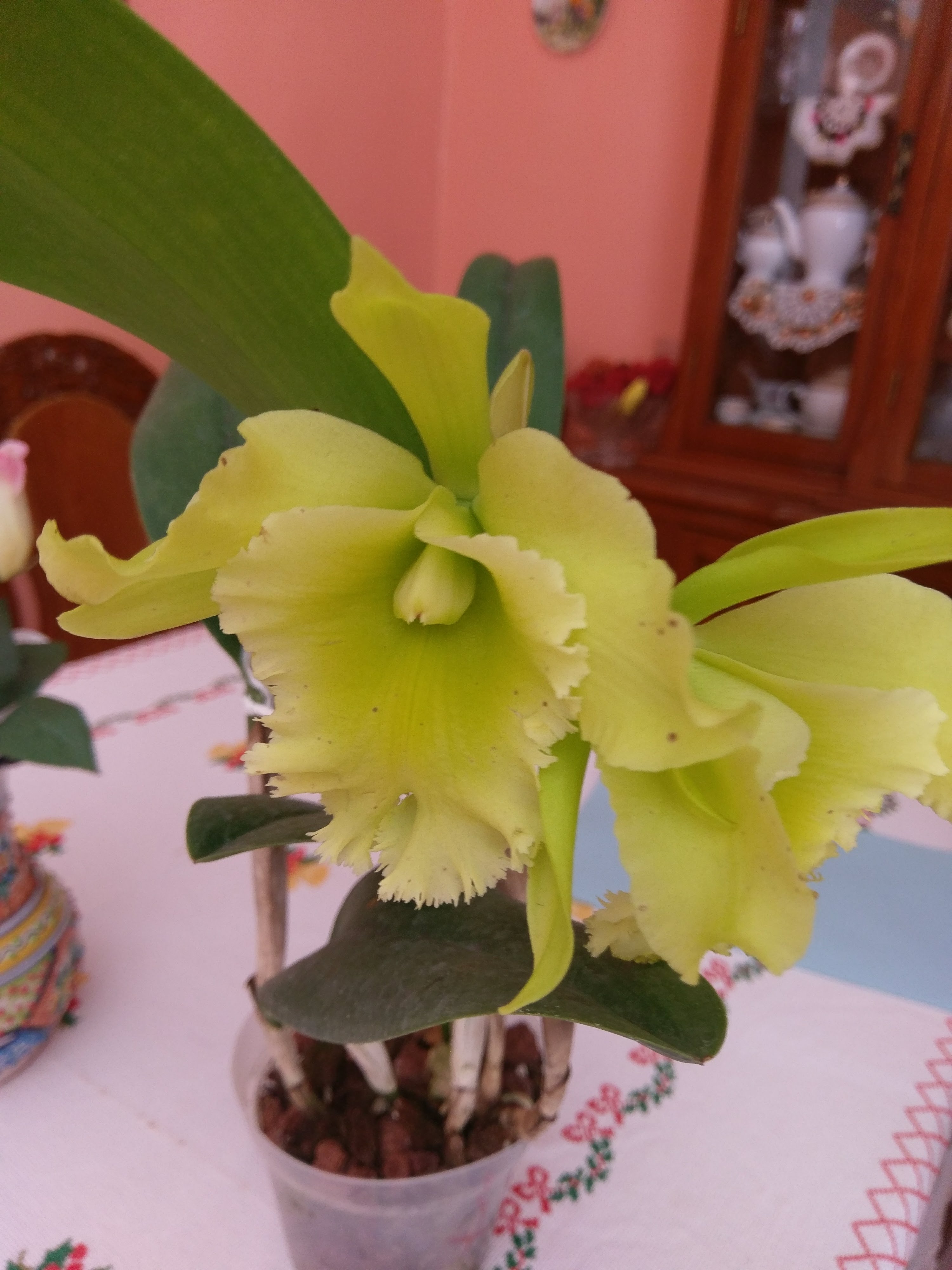 Restaurante Santiago image 9