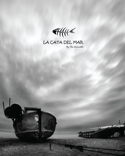 La Cata Del Mar image 4