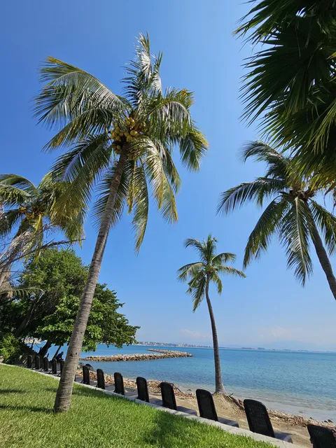 B Nayar Beach Club & Restaurant image 7