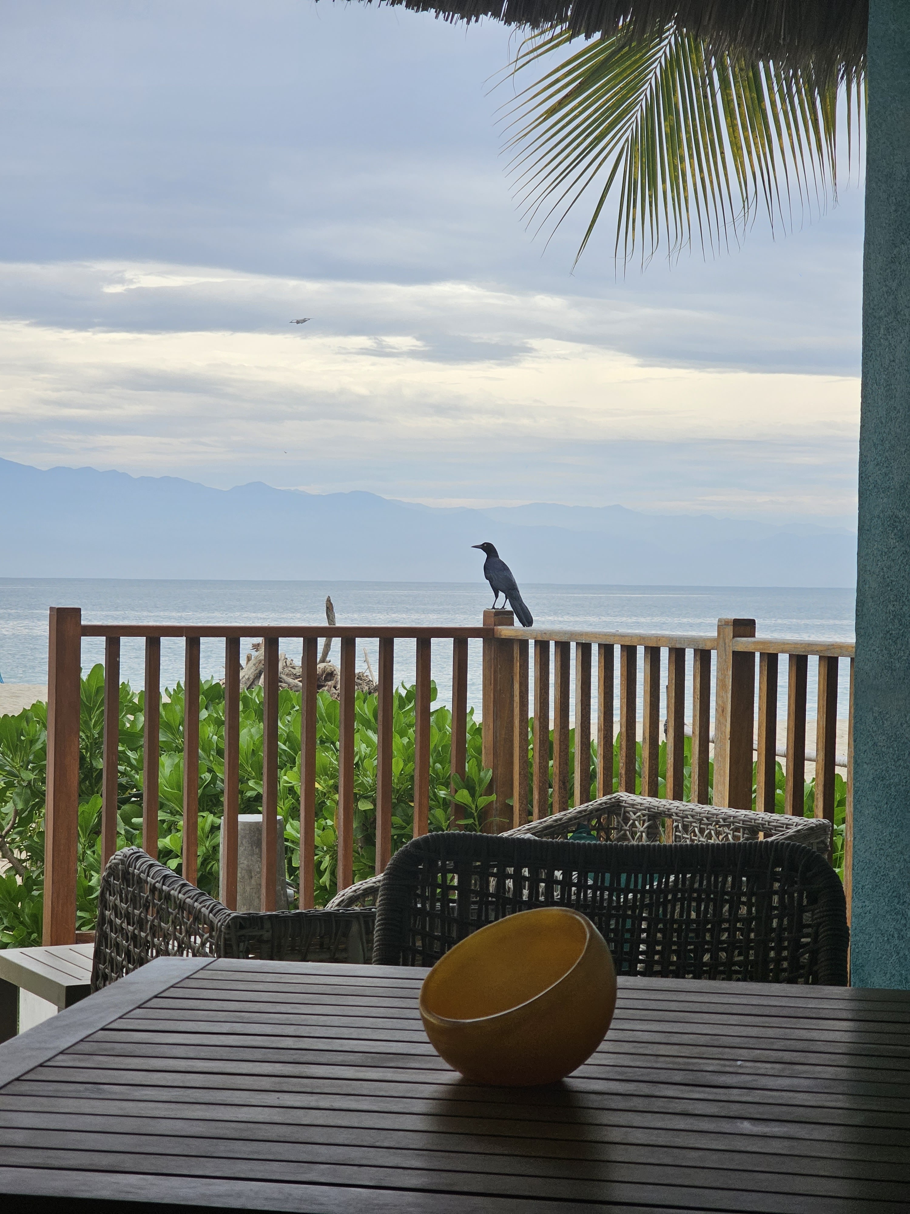 Tonati Beach Club image 8