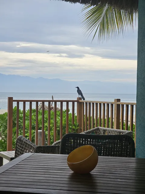 Tonati Beach Club image 8